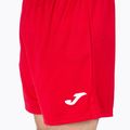 Spodenki treningowe męskie Joma Treviso red 4
