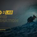 Latawiec kitesurfingowy DUOTONE Neo D/Lab 2023 dark-grey 6