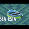 Pływadło do holowania JOBE Sea-esta Towable 3P blue/green 12