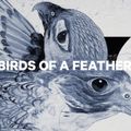 Deska snowboardowa damska CAPiTA Birds Of A Feather multicolor 12
