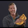 Buty do biegania damskie Saucony Peregrine 12 basin/gold 14