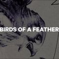 Deska snowboardowa damska CAPiTA Birds Of A Feather 2021 13