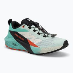 Buty do biegania damskie Salomon Sense Ride 5 bay/black/cherry tomato