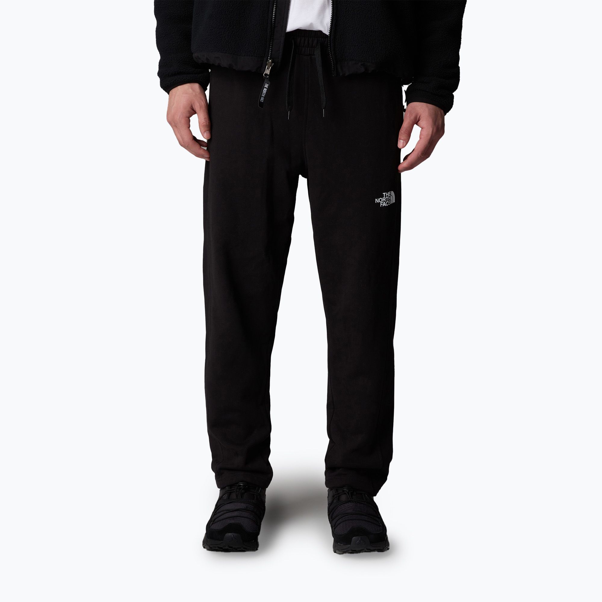 Spodnie męskie The North Face Standard Pant black 
