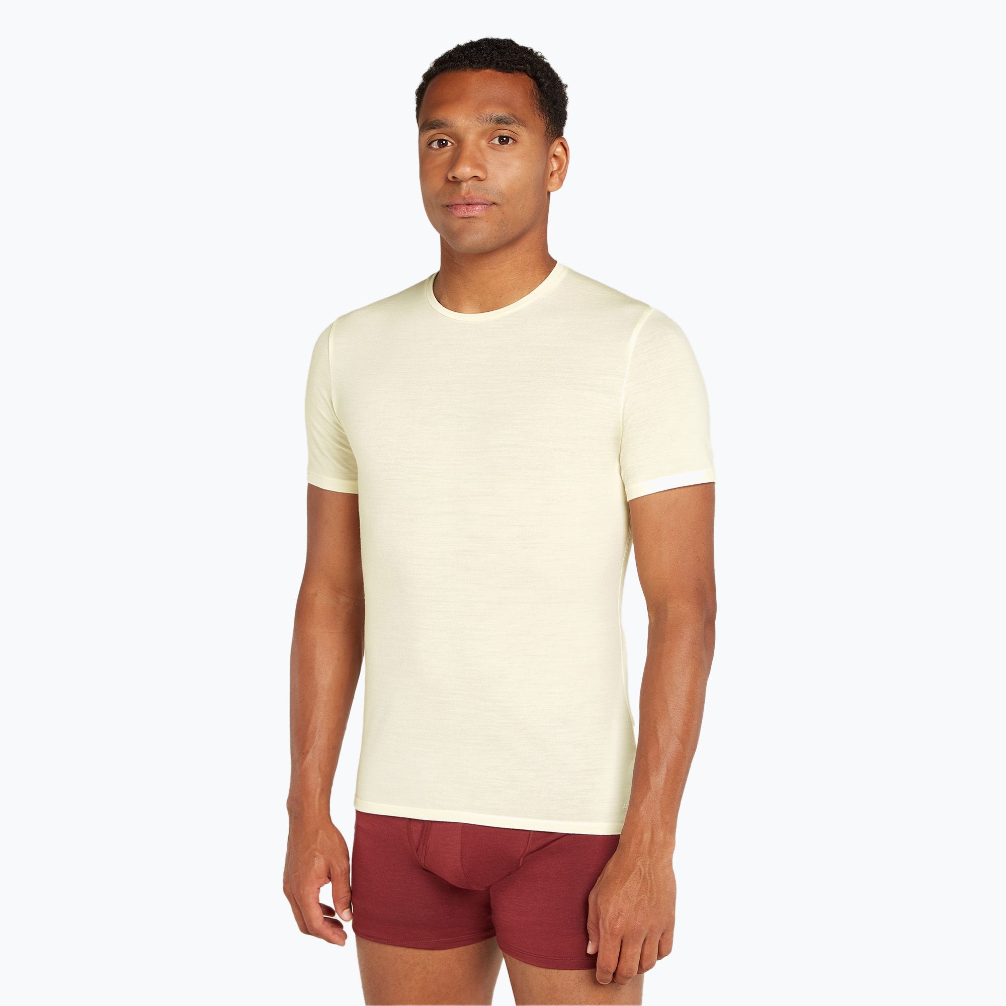Koszulka trekkingowa męska icebreaker Anatomica Crewe undyed 