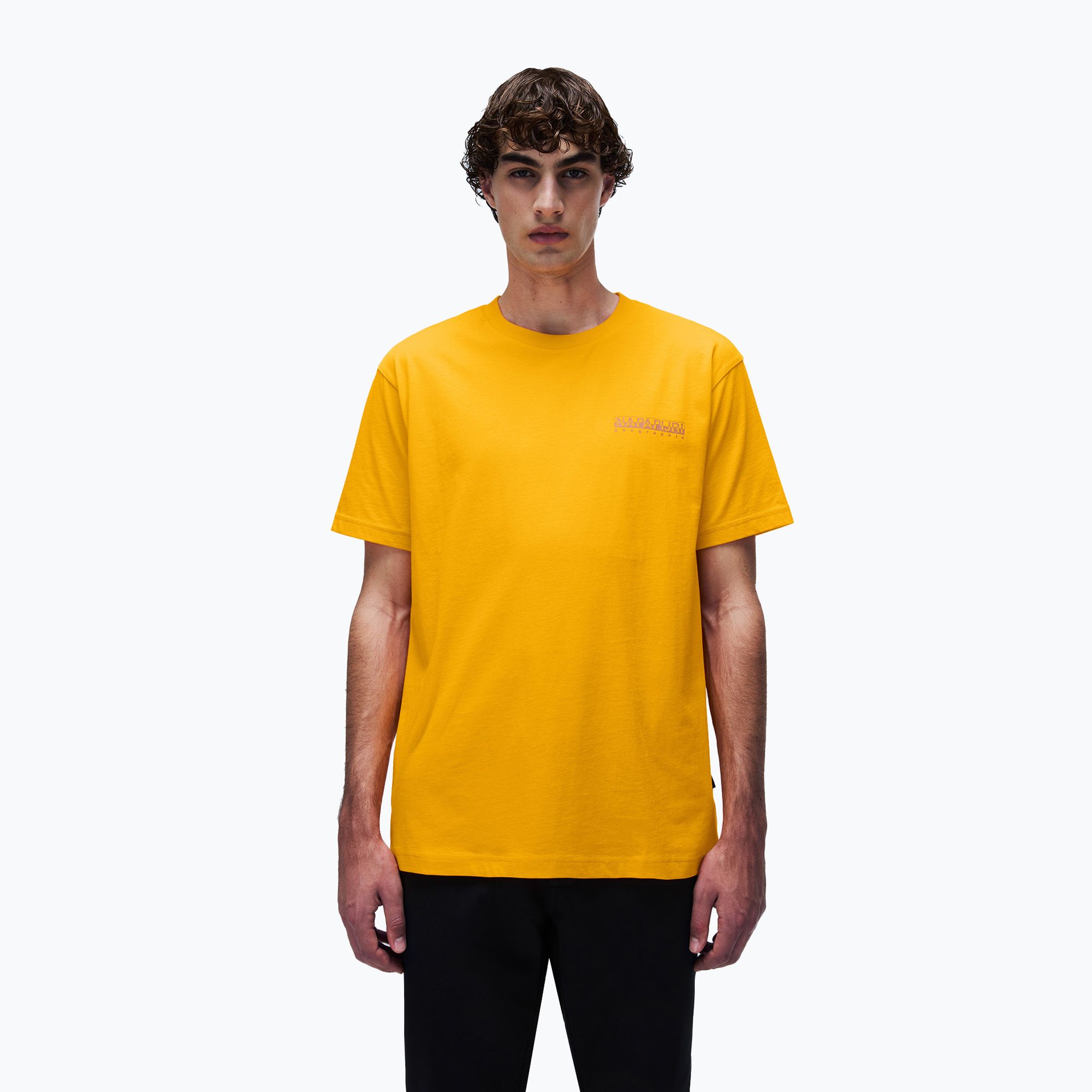 Koszulka męska Napapijri S-Albula orange marigold 