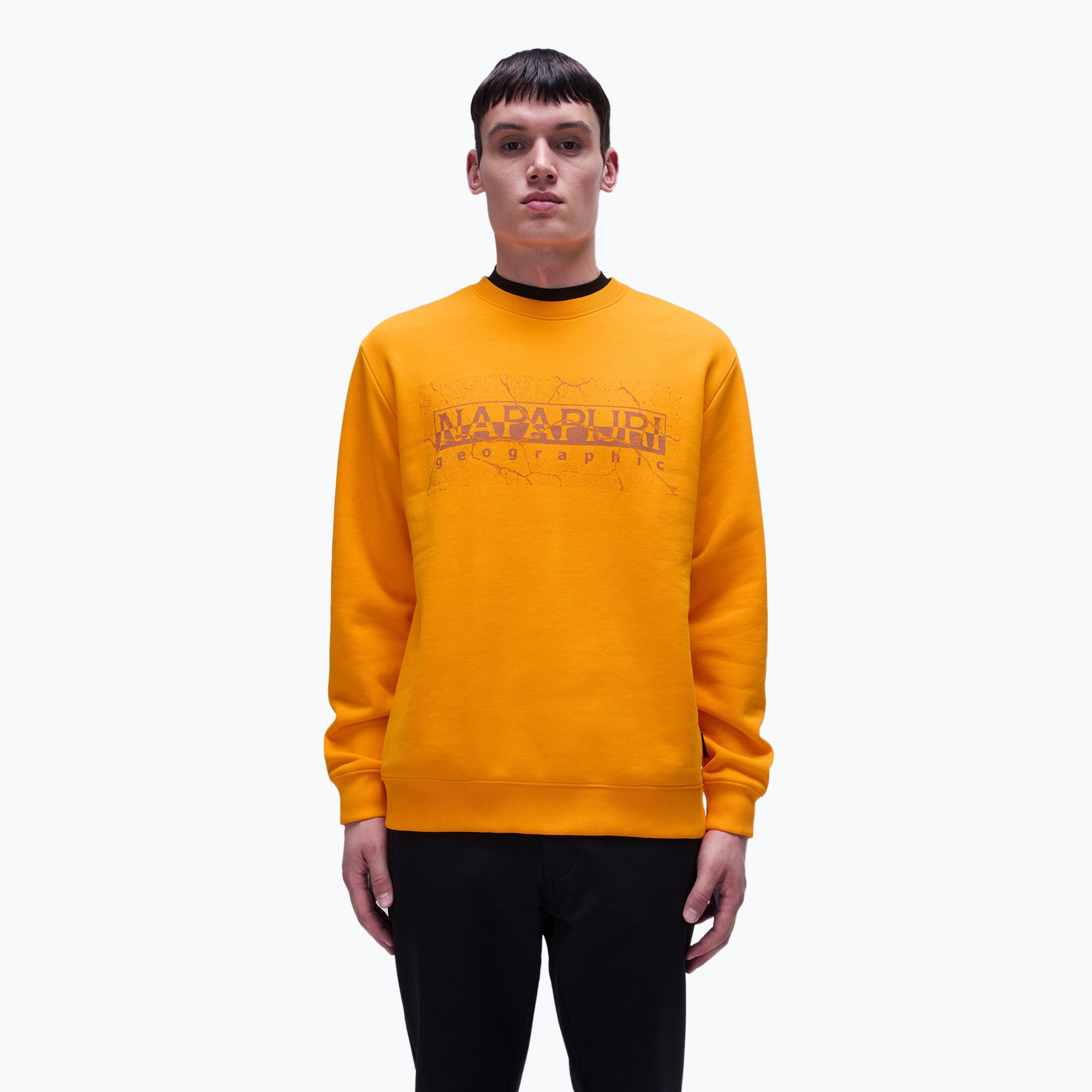Bluza męska Napapijri B-Albula C orange marigold 