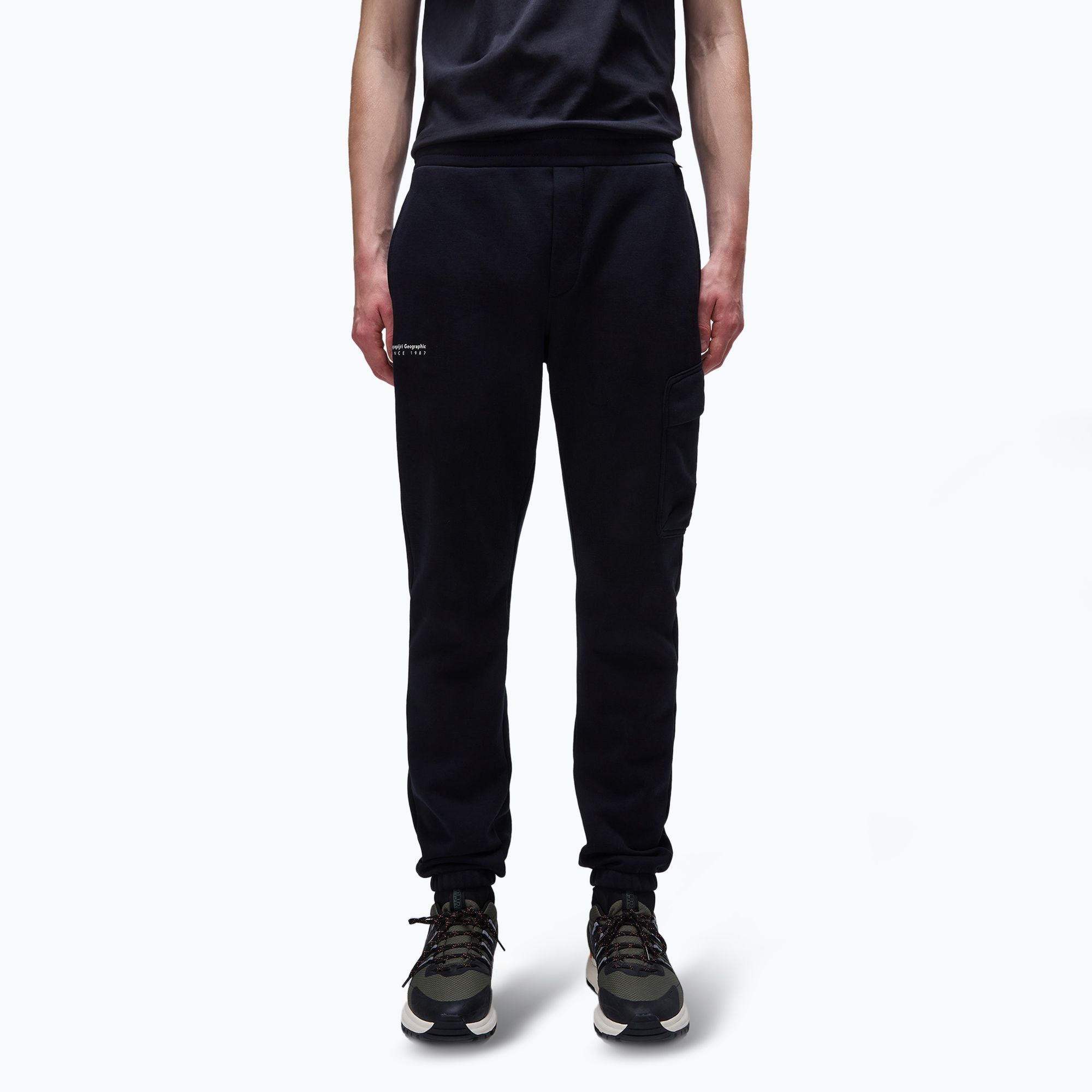 Spodnie męskie Napapijri M-Badge Cargo black 041 