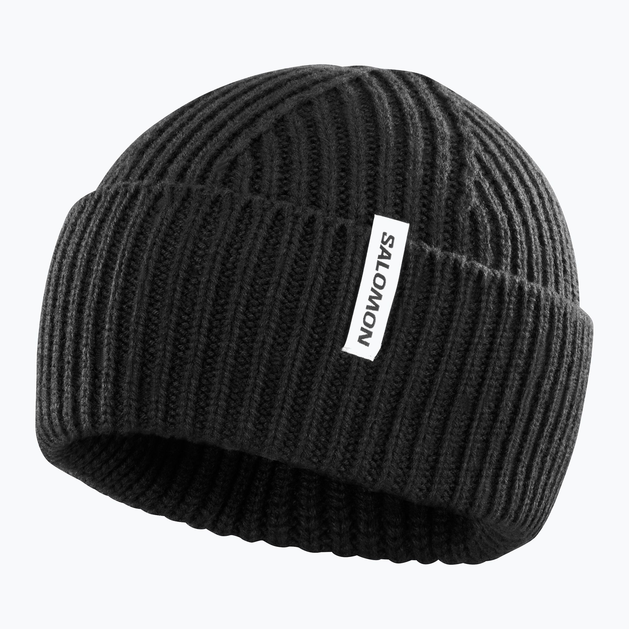 Czapka zimowa Salomon Snowbird deep black 