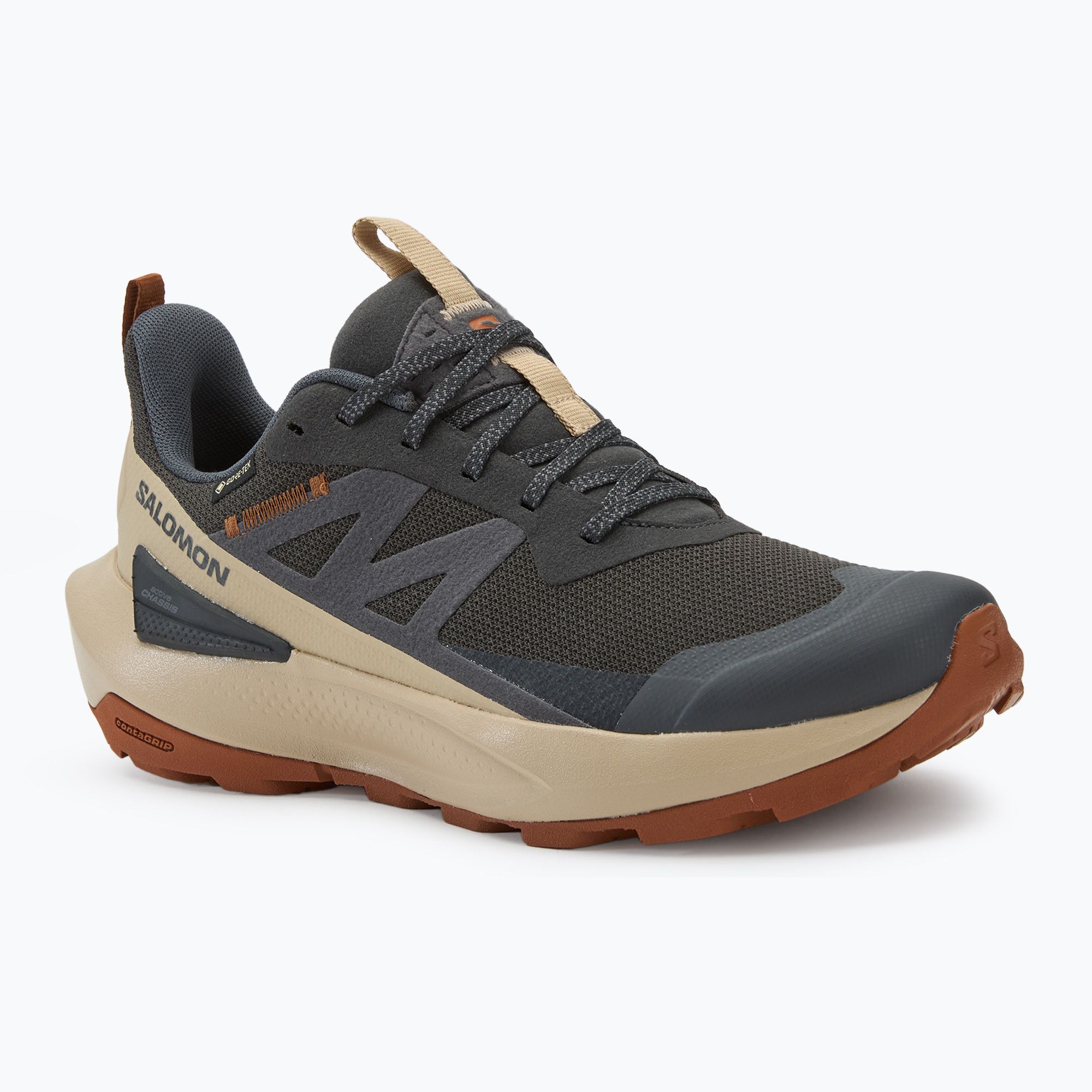 Buty turystyczne męskie Salomon Elixir Activ GTX phantom/black/magnet 