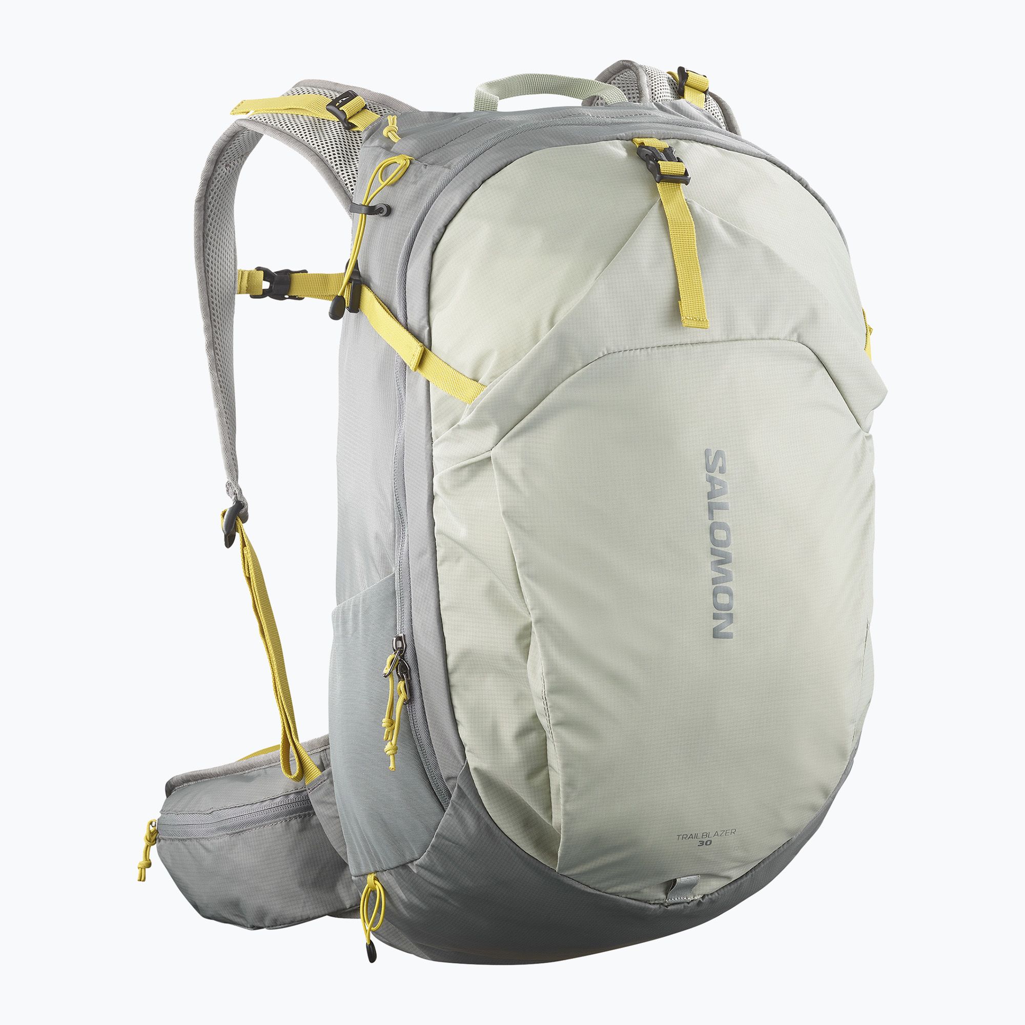 Plecak turystyczny Salomon Trailblazer 30 l sedona sage/seagrass/cress green 