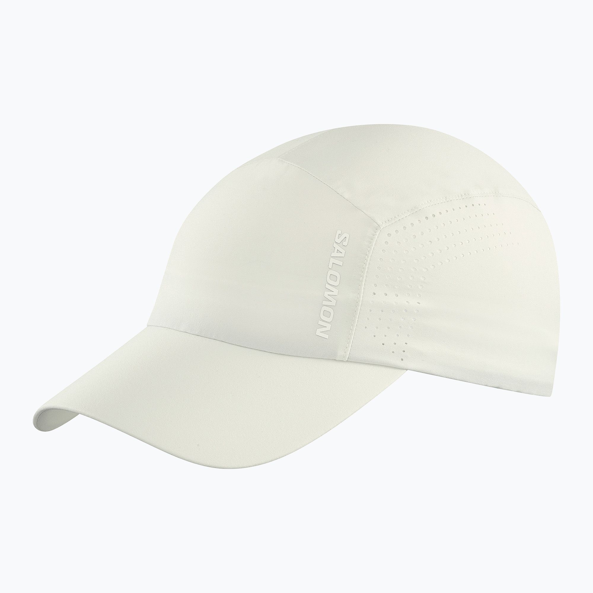 Czapka z daszkiem Salomon SHAKEout icicle 