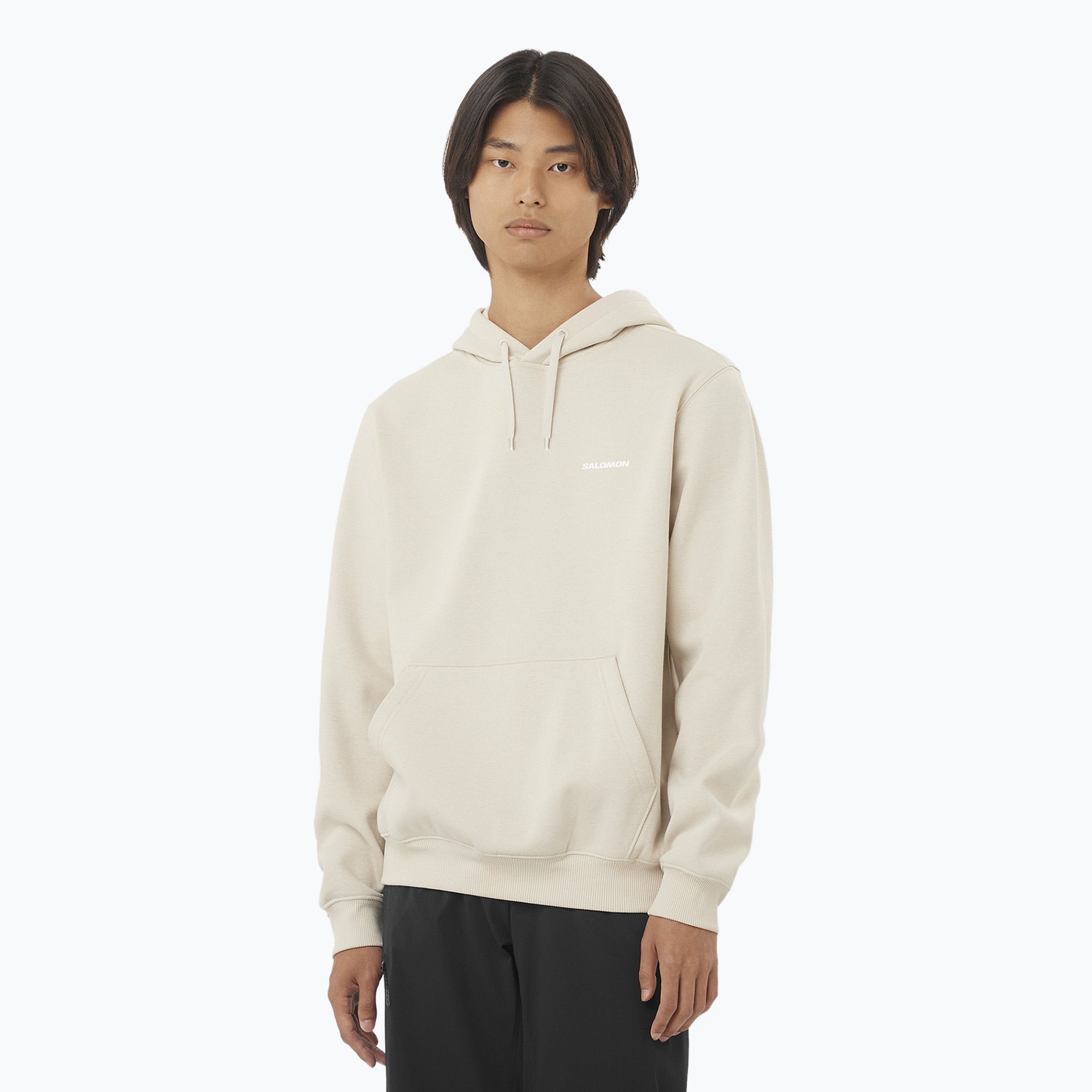 Bluza męska Salomon Logo Hoodie rainy day 
