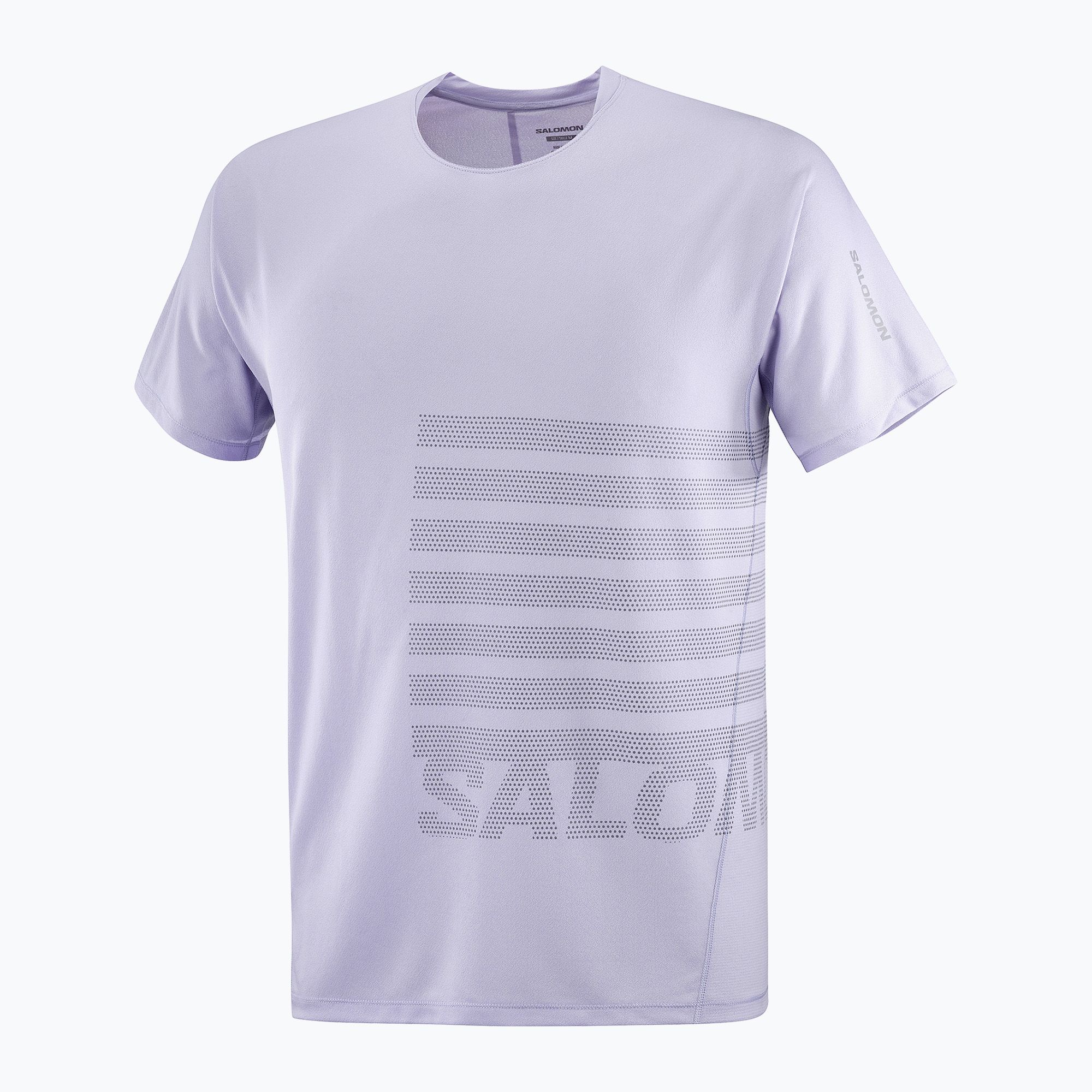 Koszulka do biegania męska Salomon Sense Aero Tee GFX cosmic sky/castlerock 