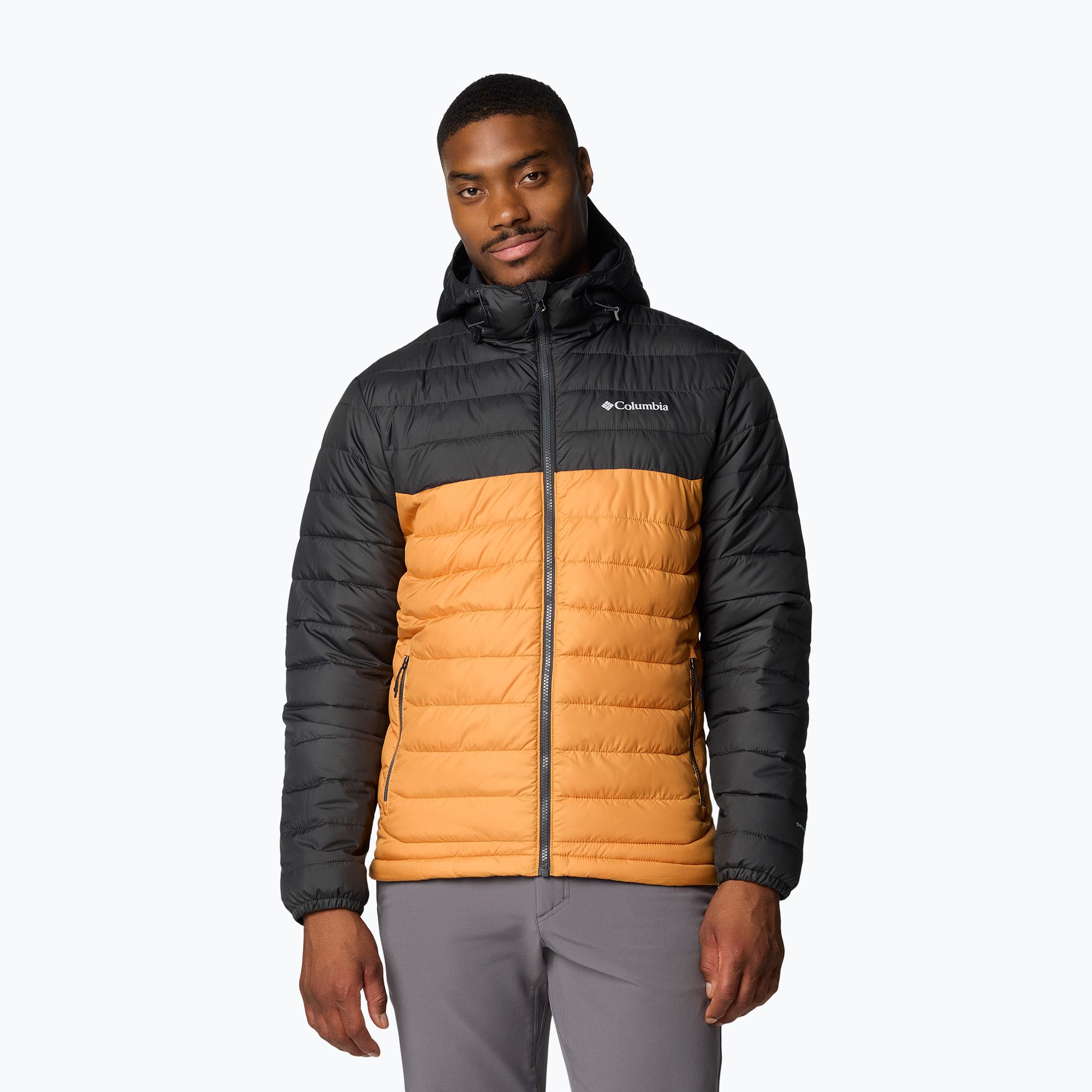 Kurtka męska Columbia Powder Lite II Hooded sunstone/ shark 