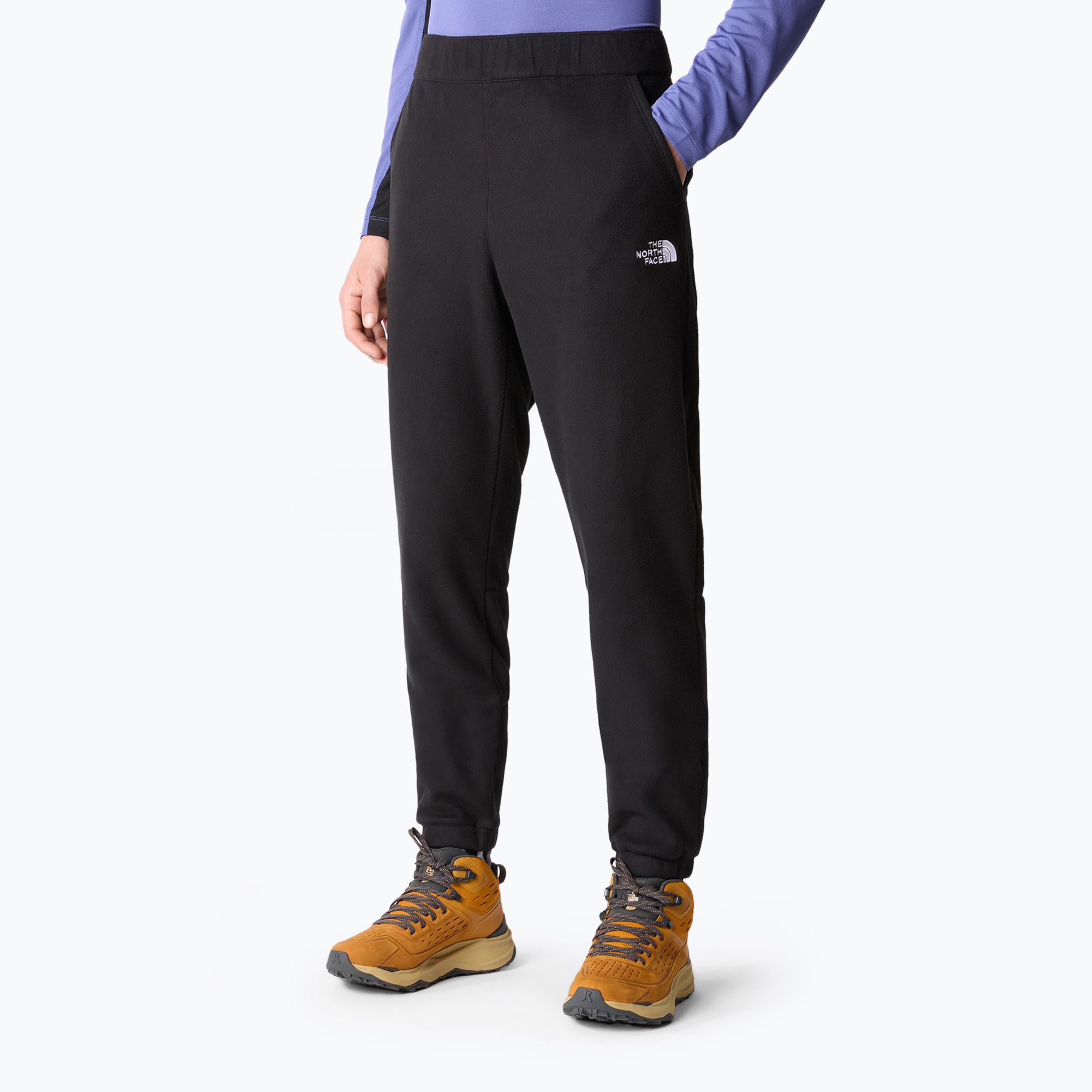 Spodnie męskie The North Face 100 Glacier black 
