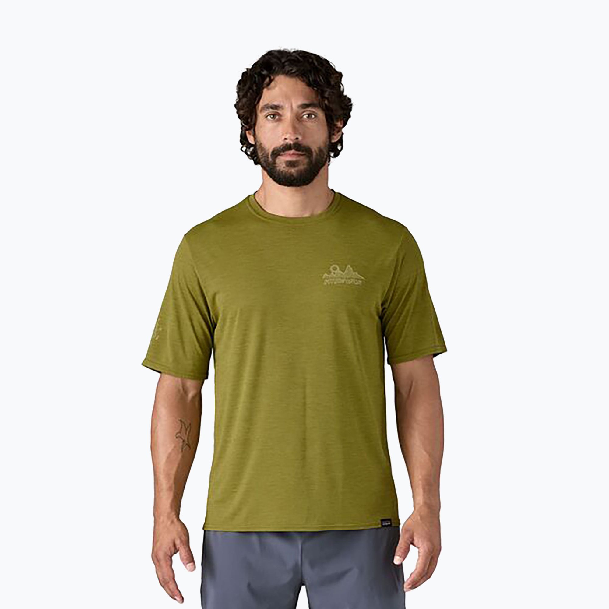 Koszulka męska Patagonia Cap Cool Daily Graphic Shirt Lands wind runner/graze green x-dye 