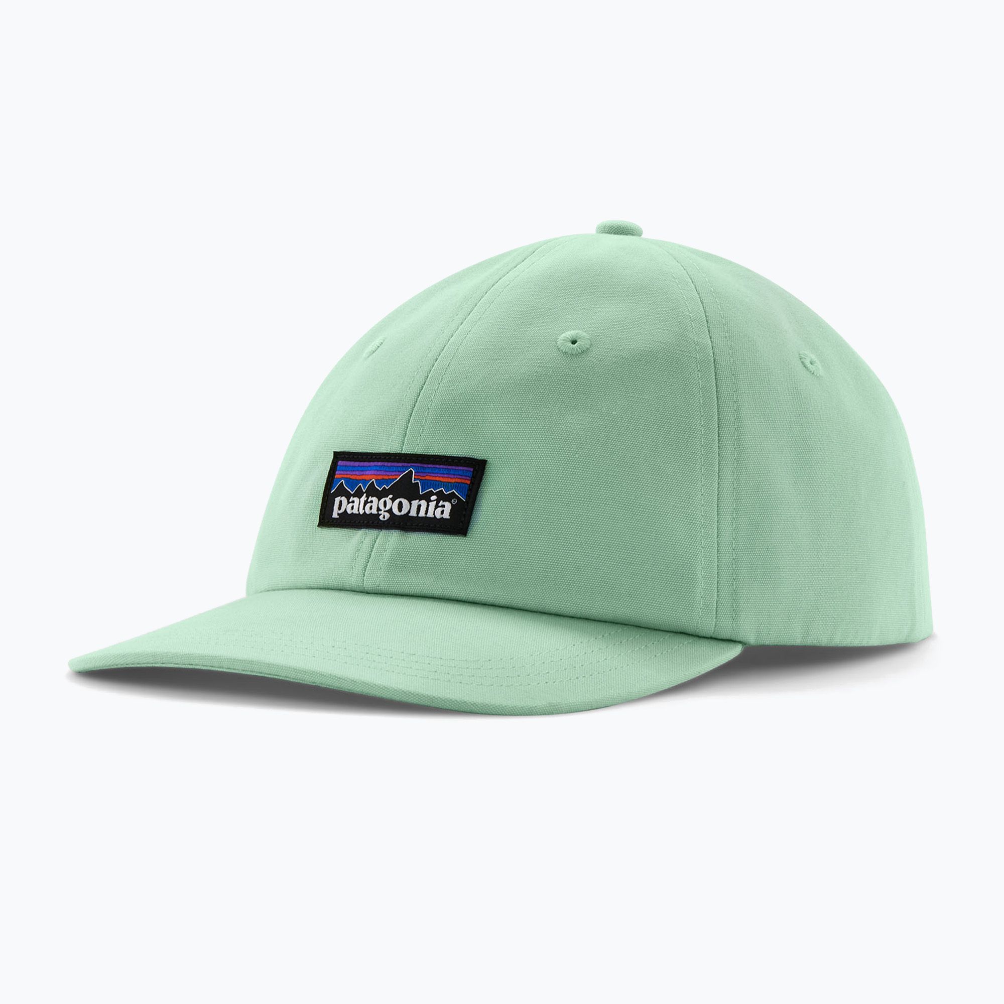 Czapka z daszkiem Patagonia P-6 Logo Trucker rinsed green 