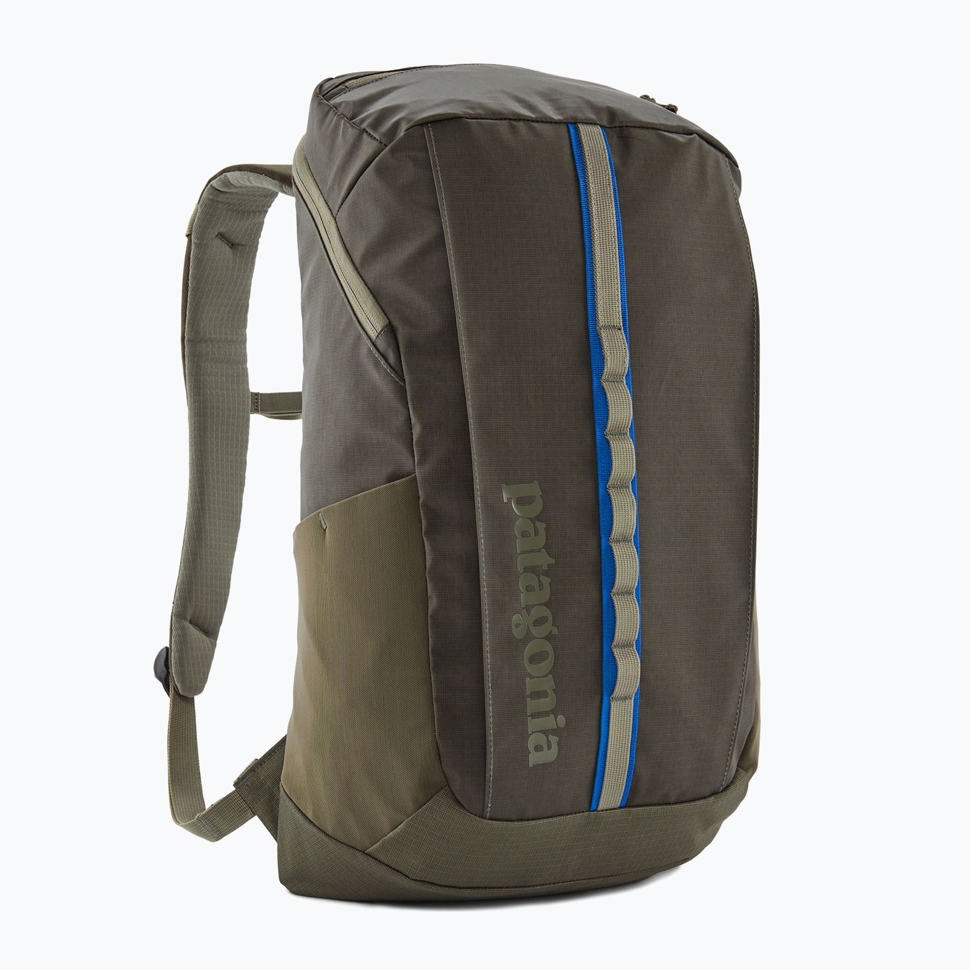 Plecak miejski Patagonia Black Hole Pack 25 l basin green 