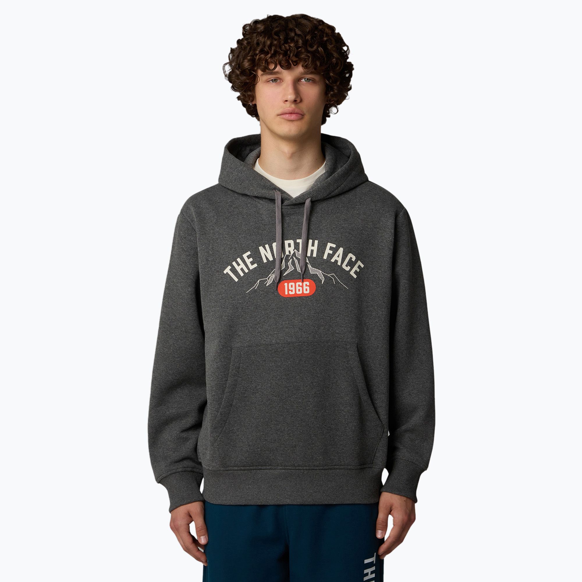 Bluza męska The North Face Varsity Graphic medium grey heather 