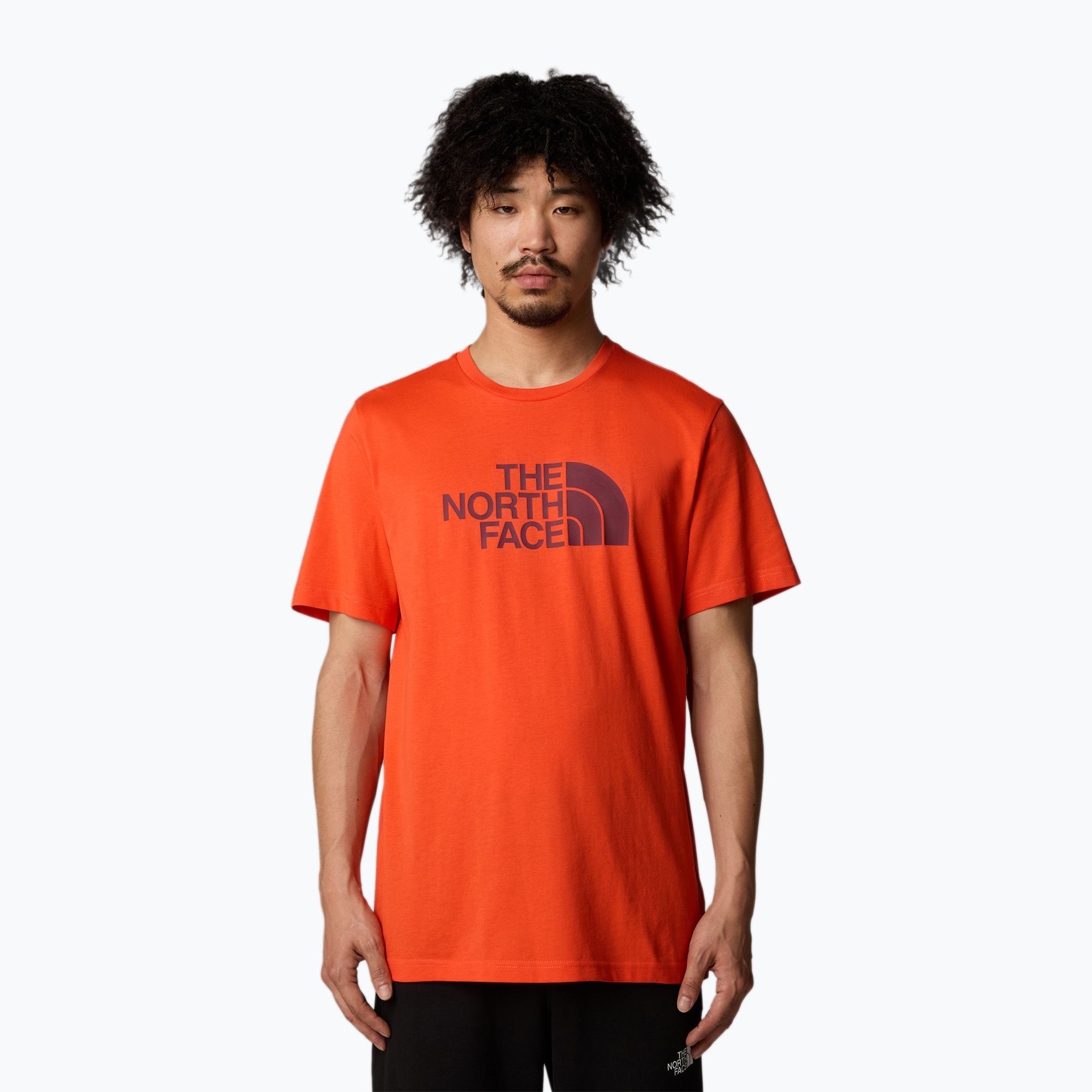 Koszulka męska The North Face Easy crimson orange/alpine plum 