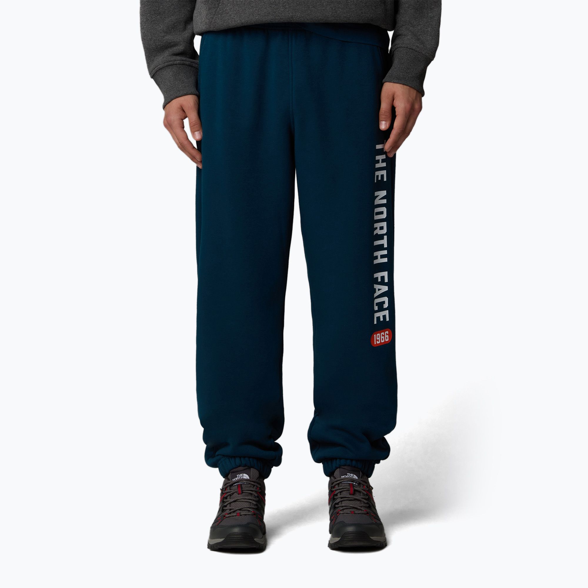 Spodnie męskie The North Face Varsity Graphic midnight petrol 