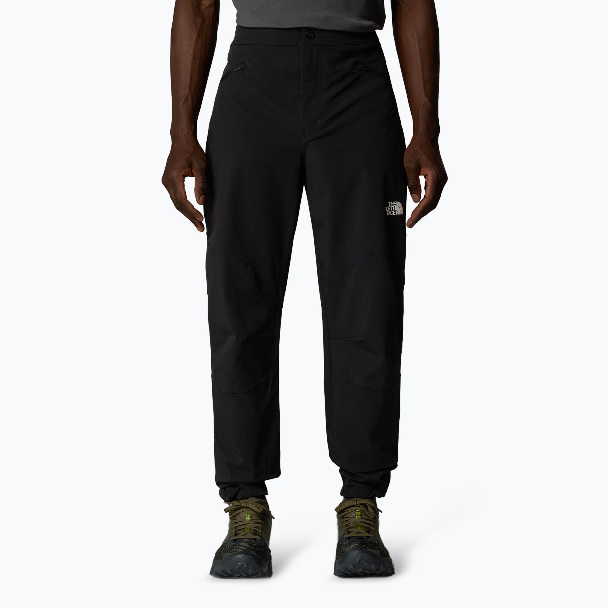 Spodnie trekkingowe męskie The North Face Alpine Ridge Regular Tapered black/npf 