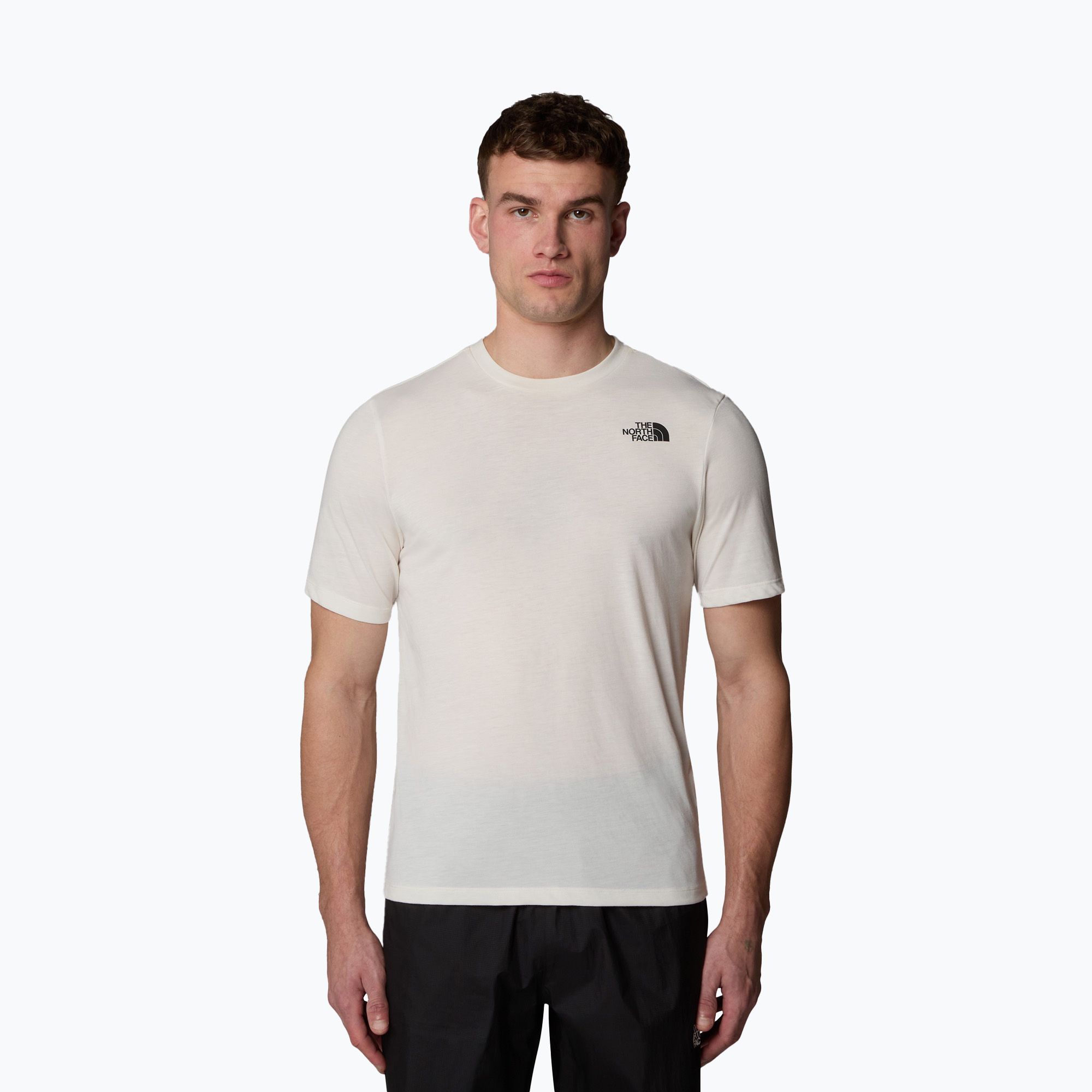Koszulka męska The North Face Foundation Mountains Faces Tee white dune 