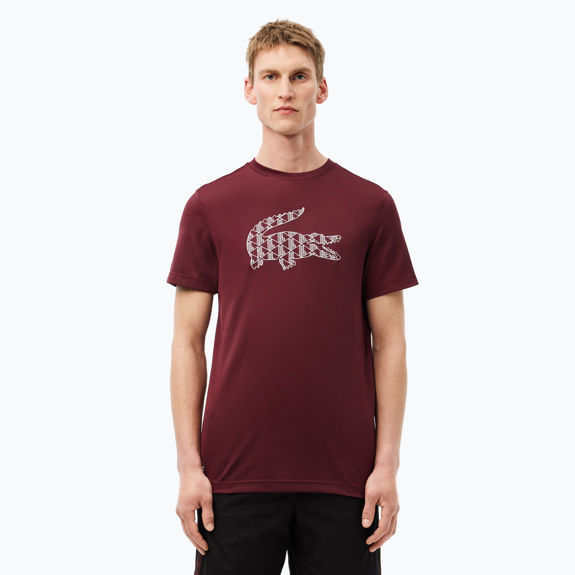 Koszulka męska Lacoste TH2623 expresso 