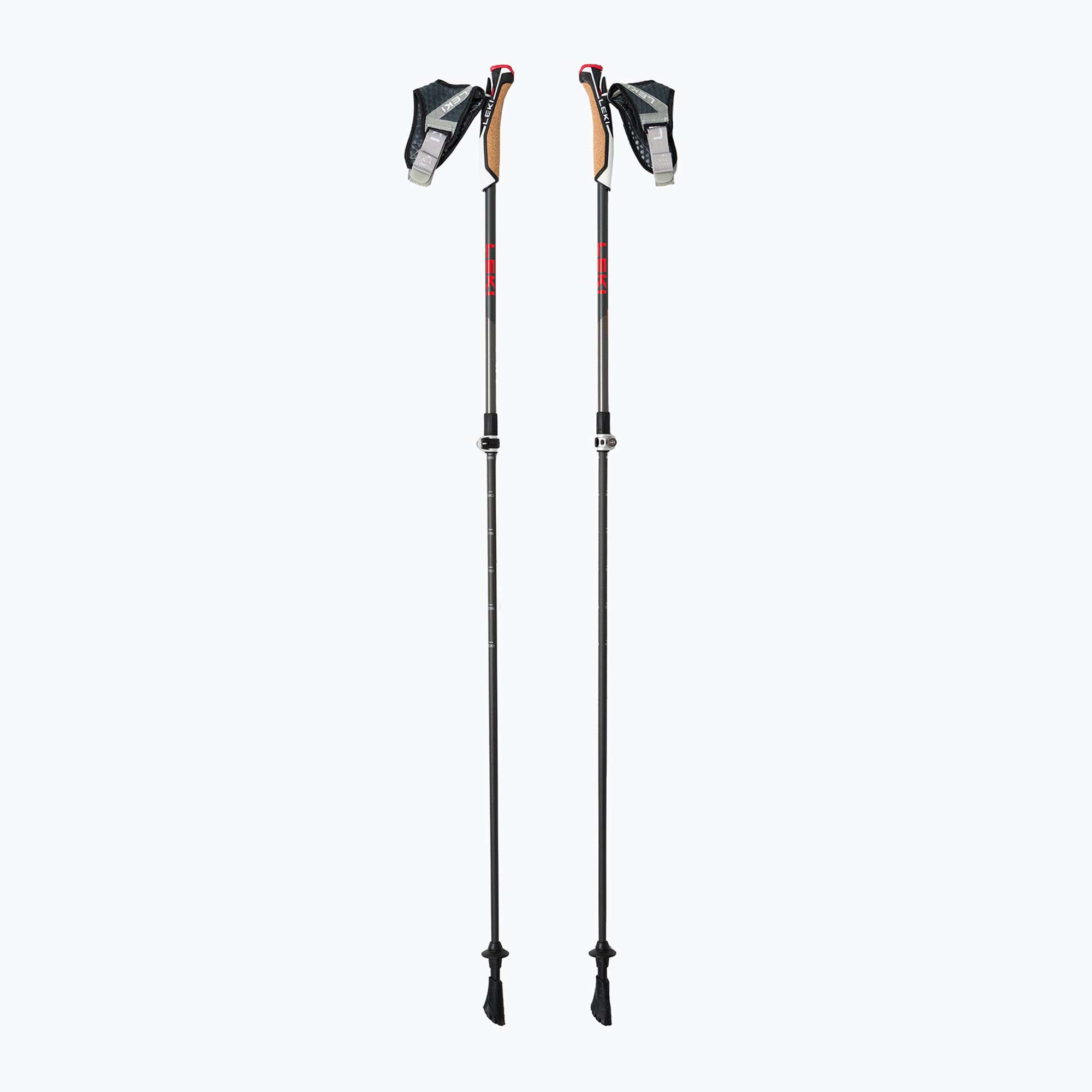 Kije nordic walking LEKI Instructor Lite czarno-srebrne 65326341 