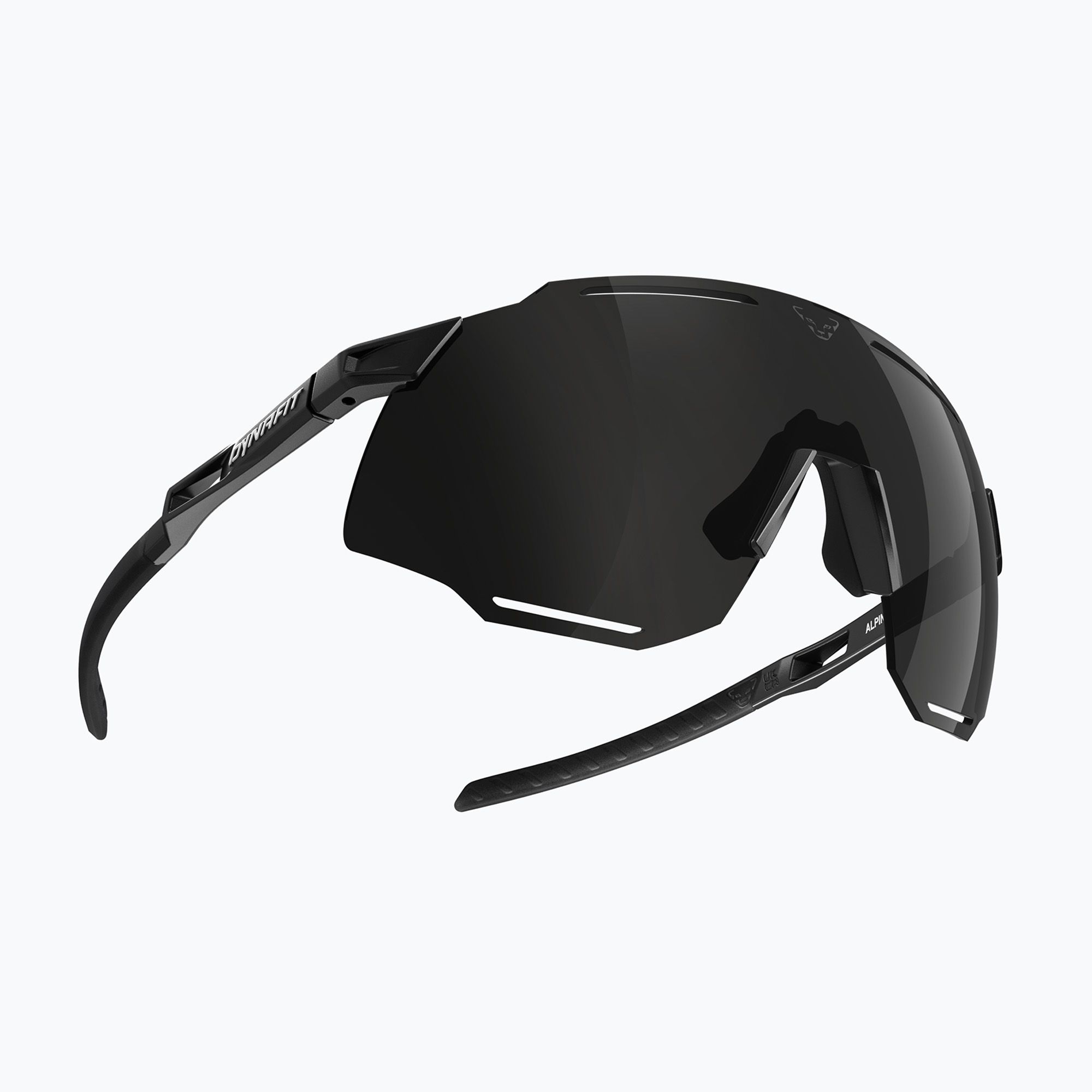 Okulary przeciwsłoneczne DYNAFIT Alpine black out/nimbus 
