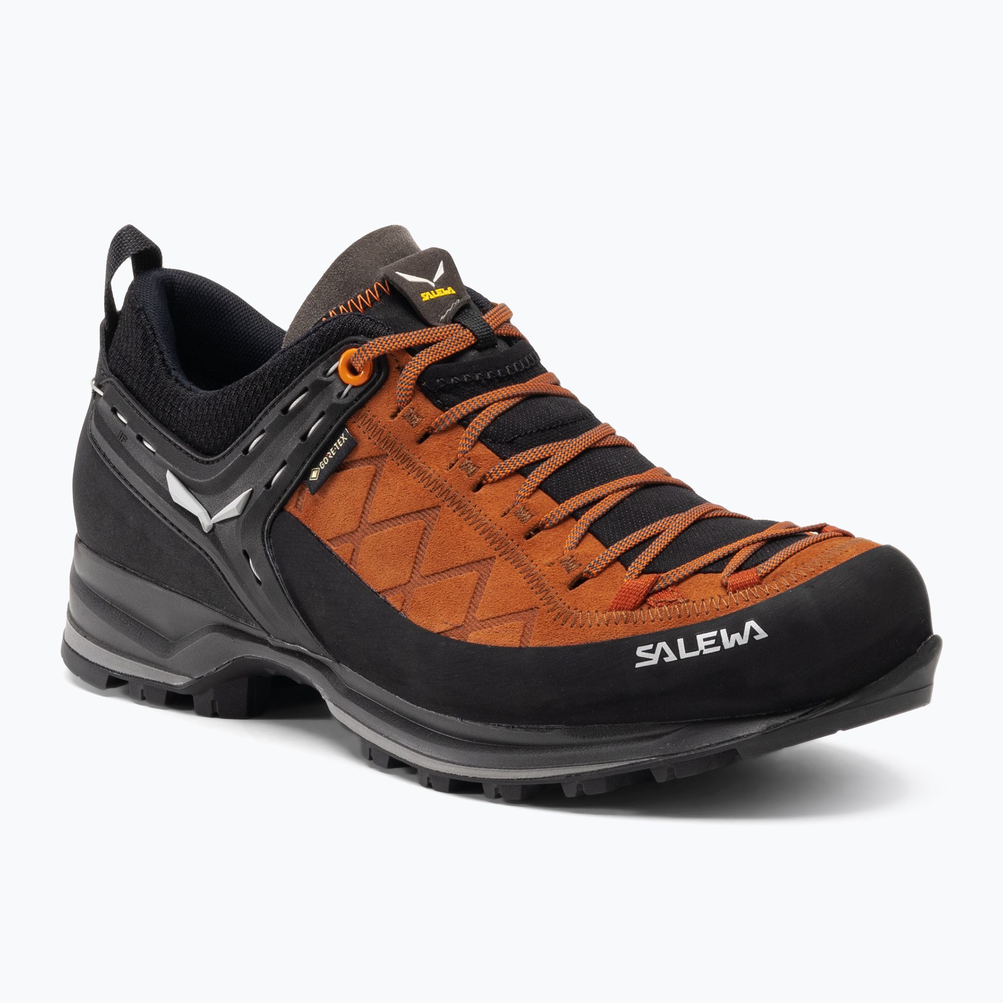 Buty trekkingowe męskie Salewa MTN Trainer 2 GTX autumnal/black 