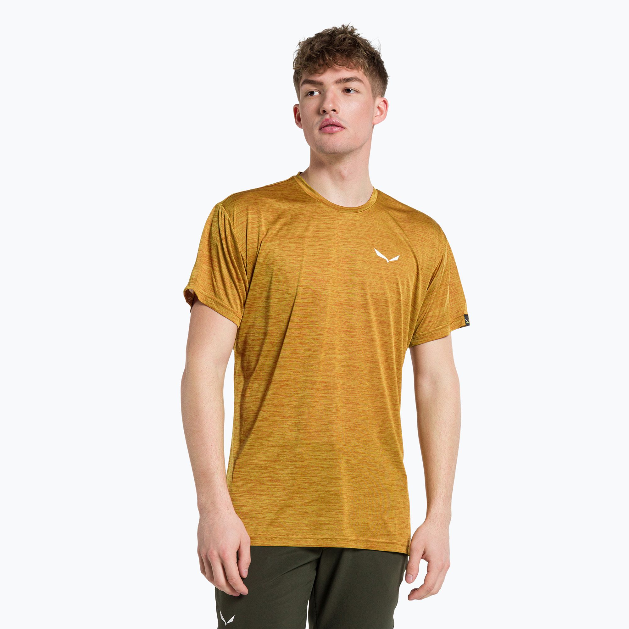 Koszulka męska Salewa Puez Melange Dry golden brown melange 