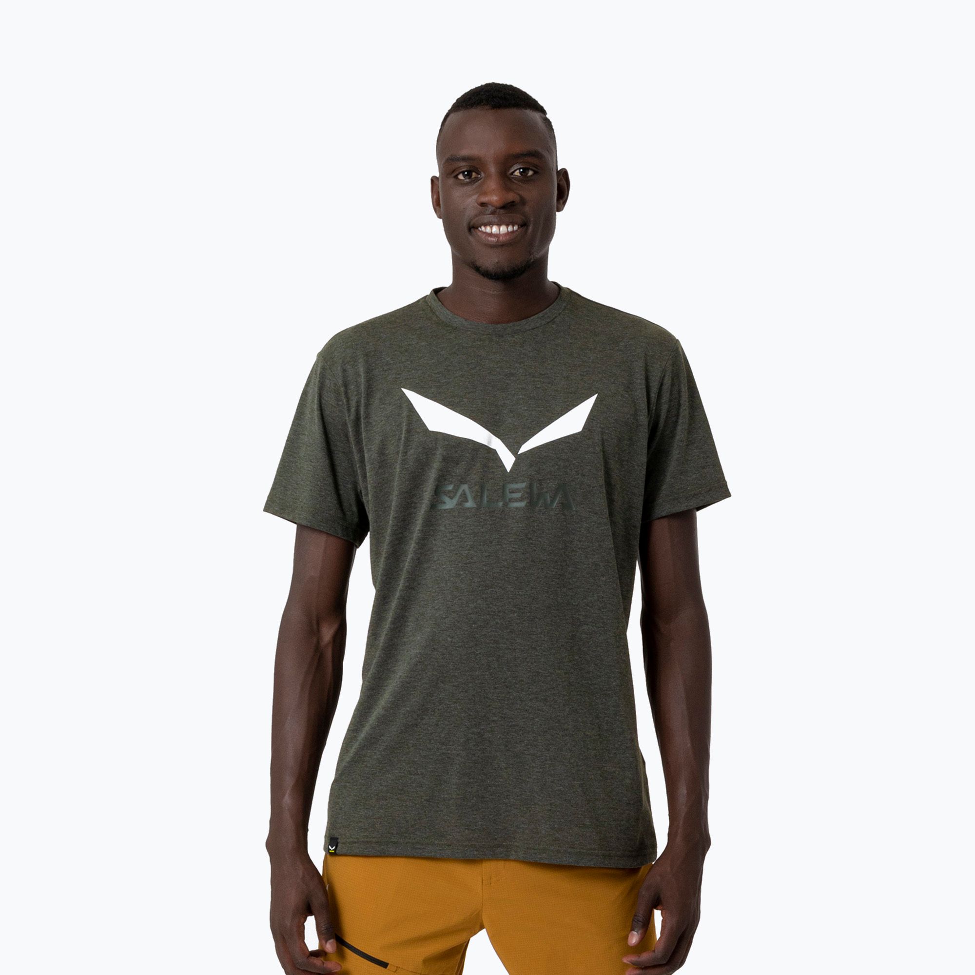 Koszulka męska Salewa Solidlogo Dry dark olive melange 