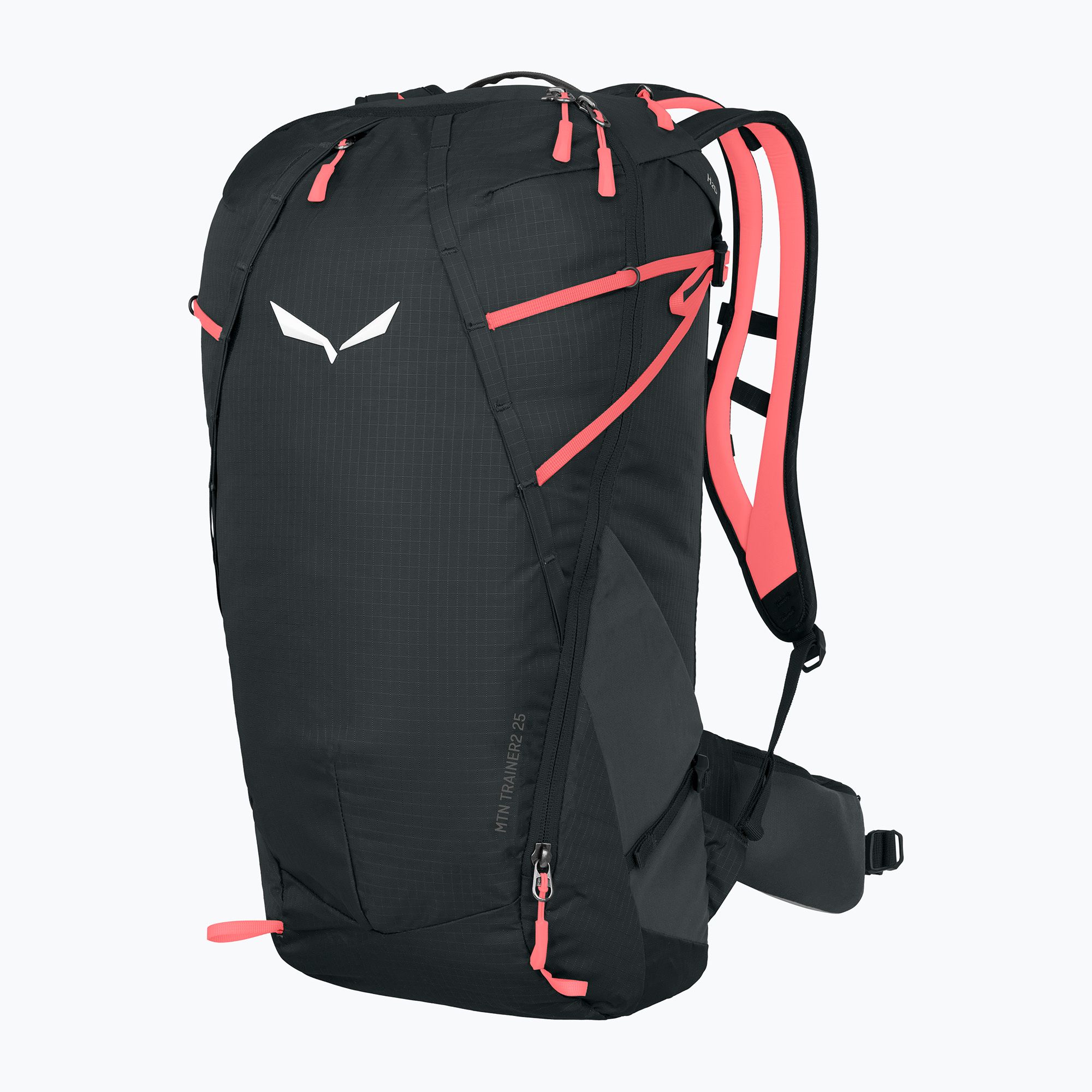 Plecak turystyczny Salewa MTN Trainer 2 25 l onyx 