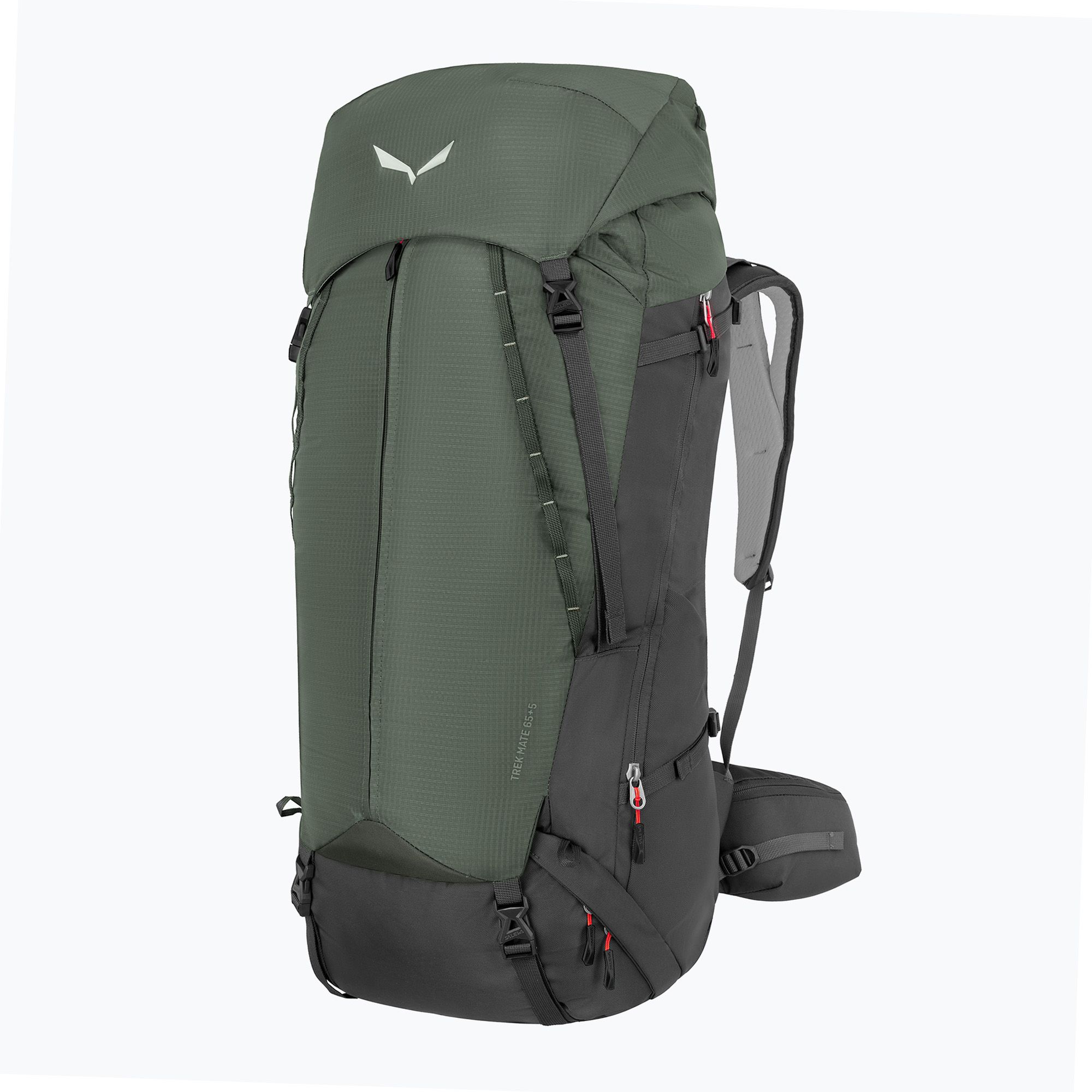 Plecak trekkingowy Salewa Trek Mate 65+5 l shadow/onyx 