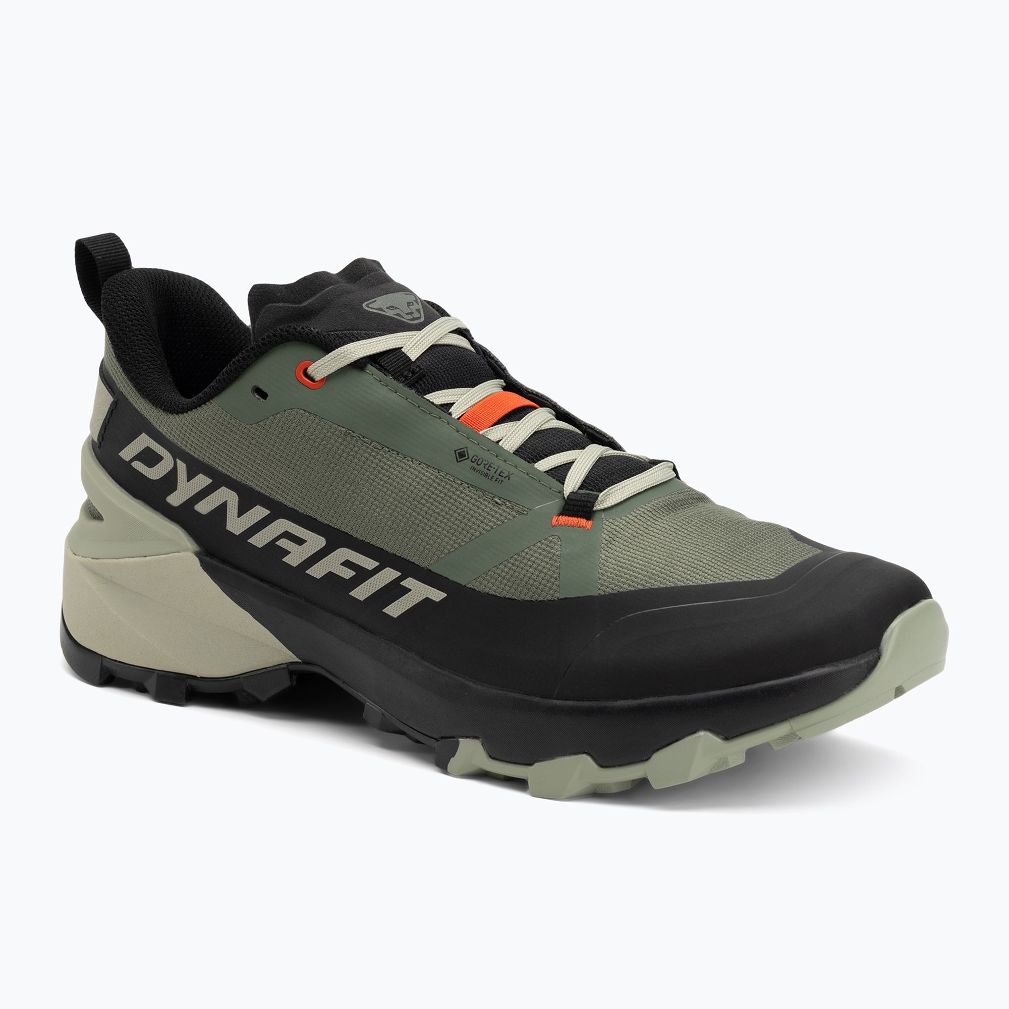 Buty do biegania męskie DYNAFIT Transalper 2 GTX black out/thyme 