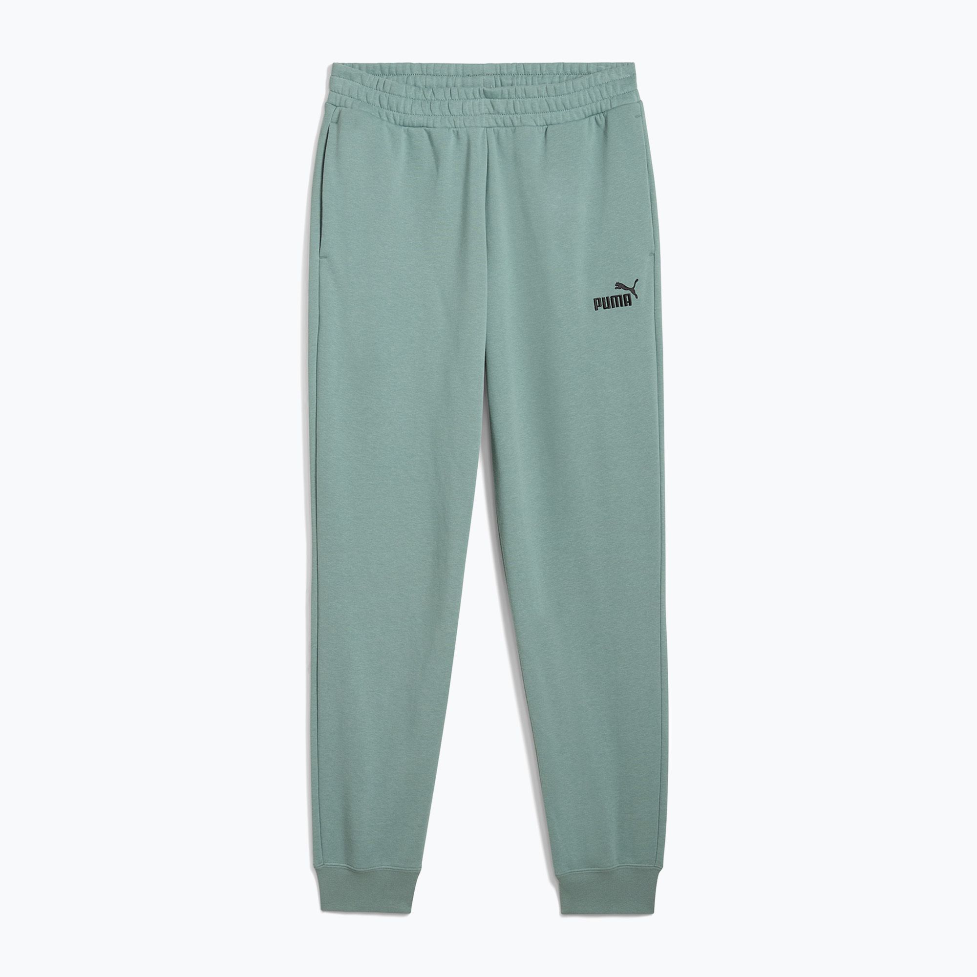 Spodnie męskie PUMA ESS No. 1 Logo Sweatpants TR CL green moon 