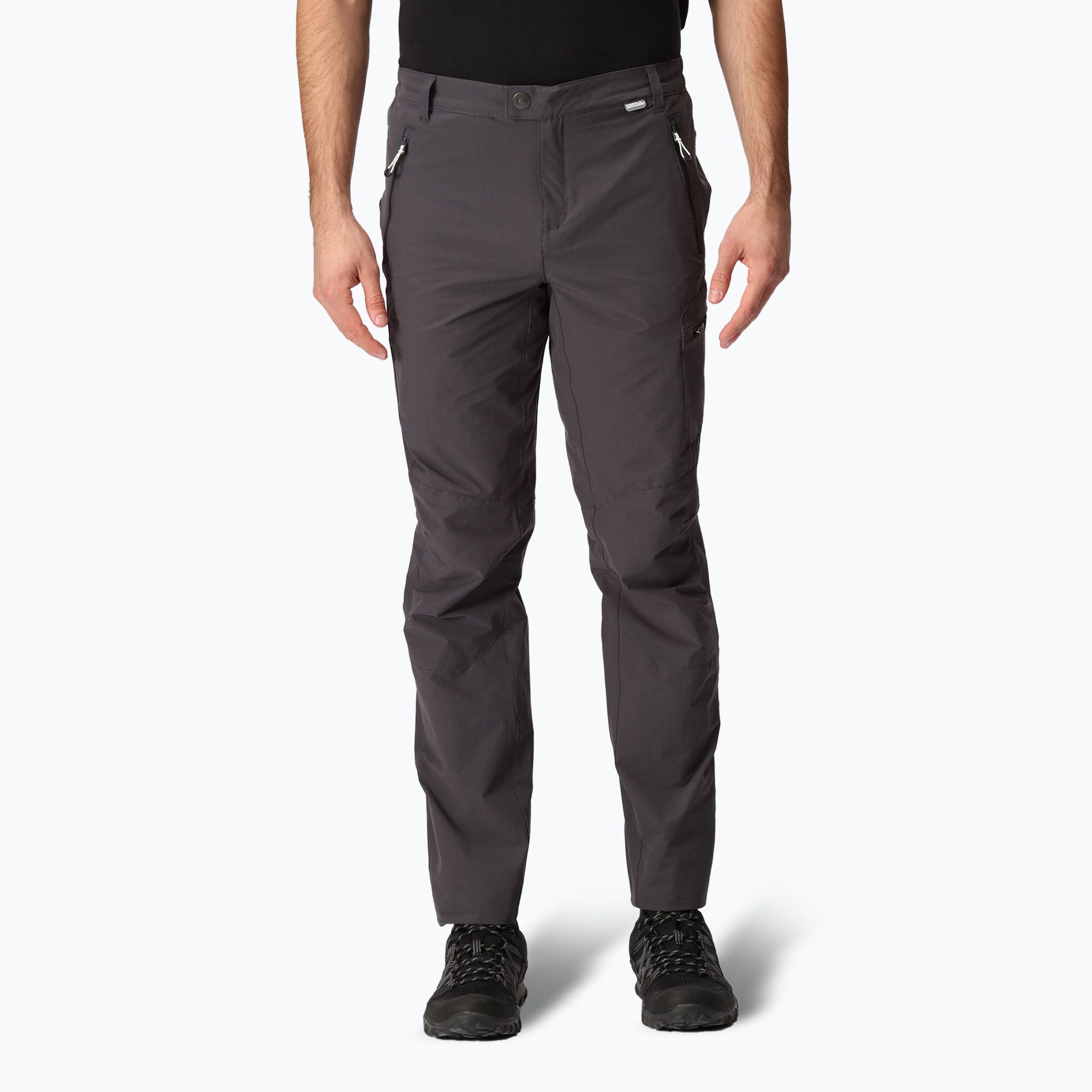 Spodnie trekkingowe męskie REGATTA Highton seal grey 