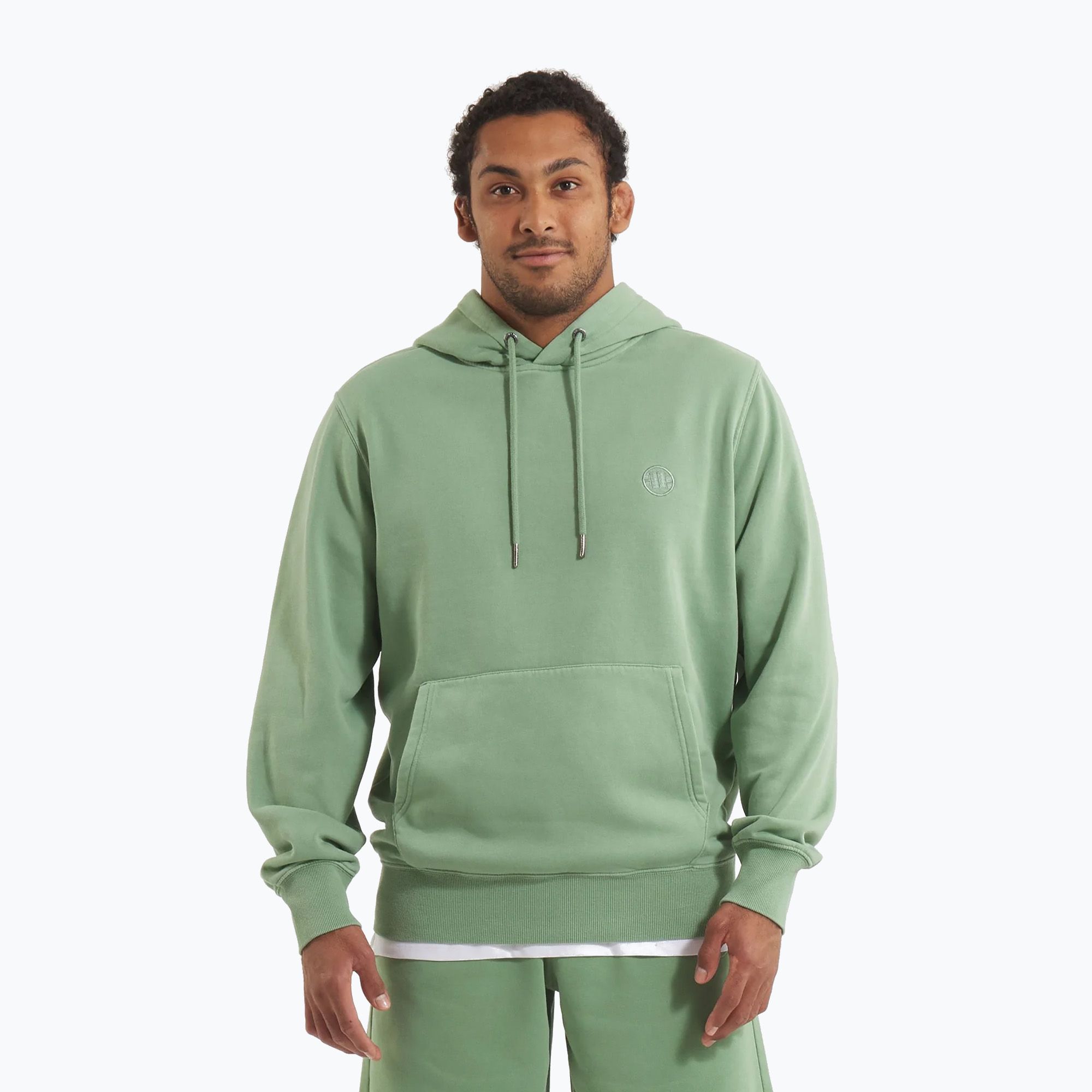 Bluza męska Pitbull Lancaster 2 Hooded Sweatshirt washed green 