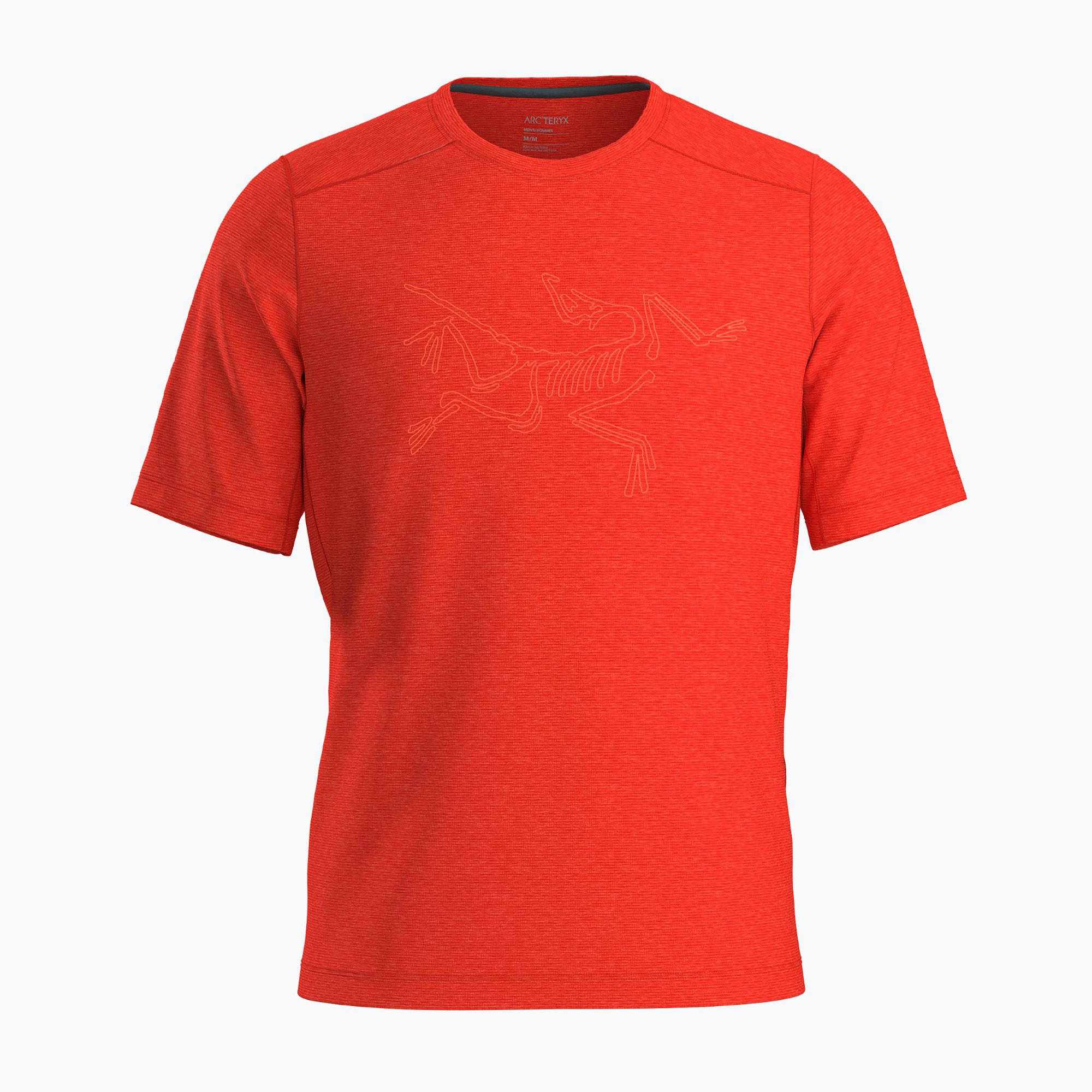 Koszulka męska Arc'teryx Cormac Logo SS dynasty heather 