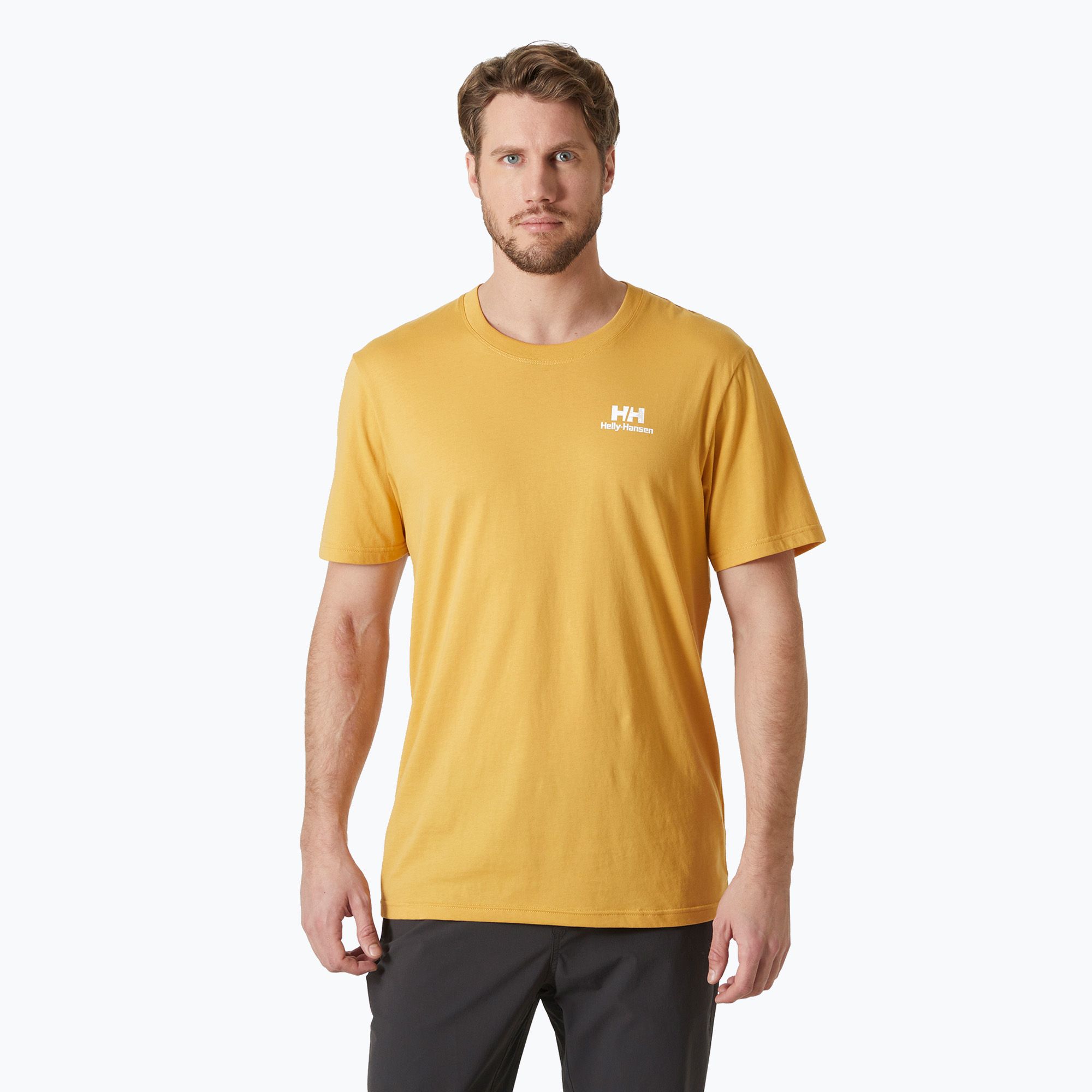 Koszulka męska Helly Hansen Nord Graphic sand 