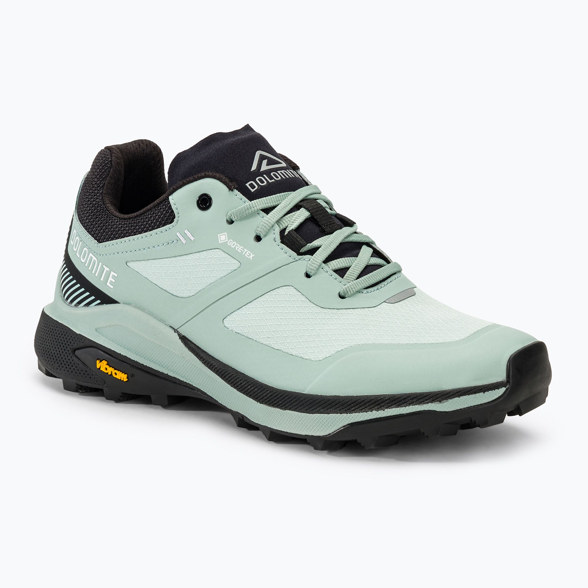 Buty turystyczne damskie Dolomite Nibelia GTX mint green 
