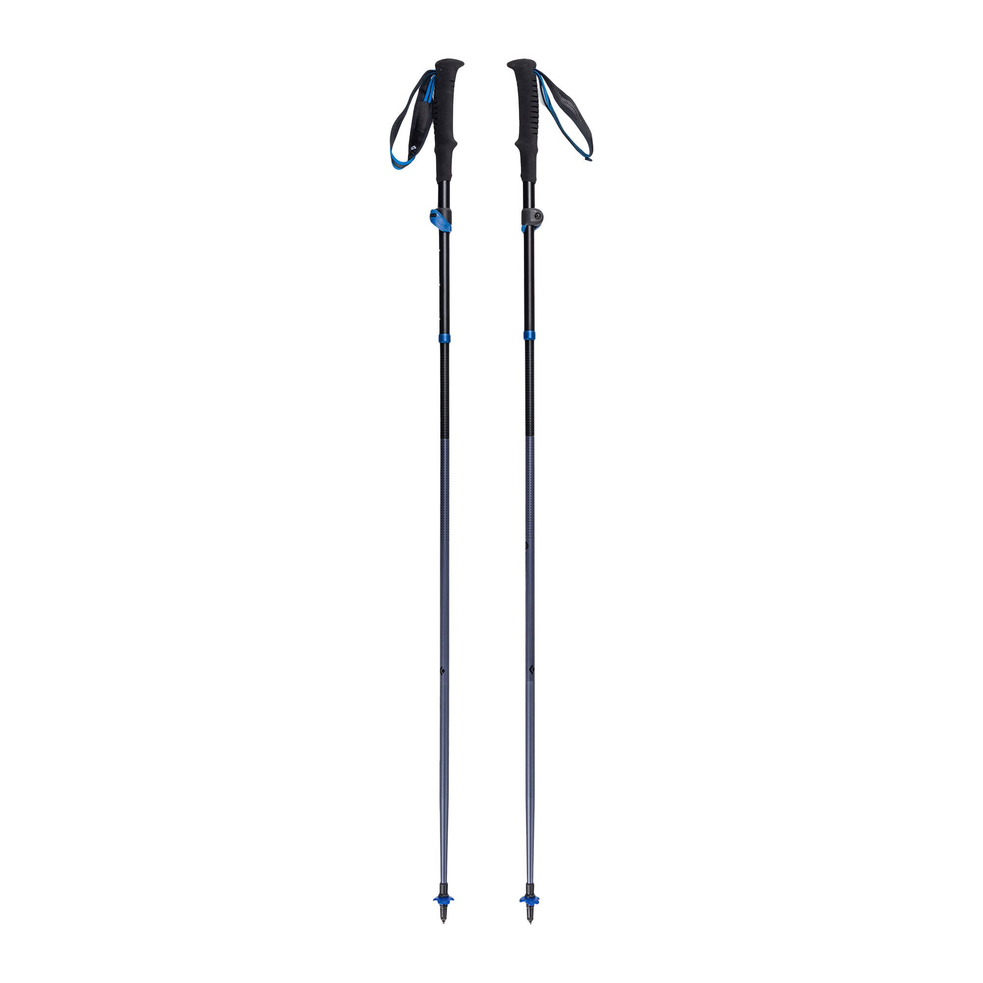 Kije trekkingowe Black Diamond Distance FLZ pewter 