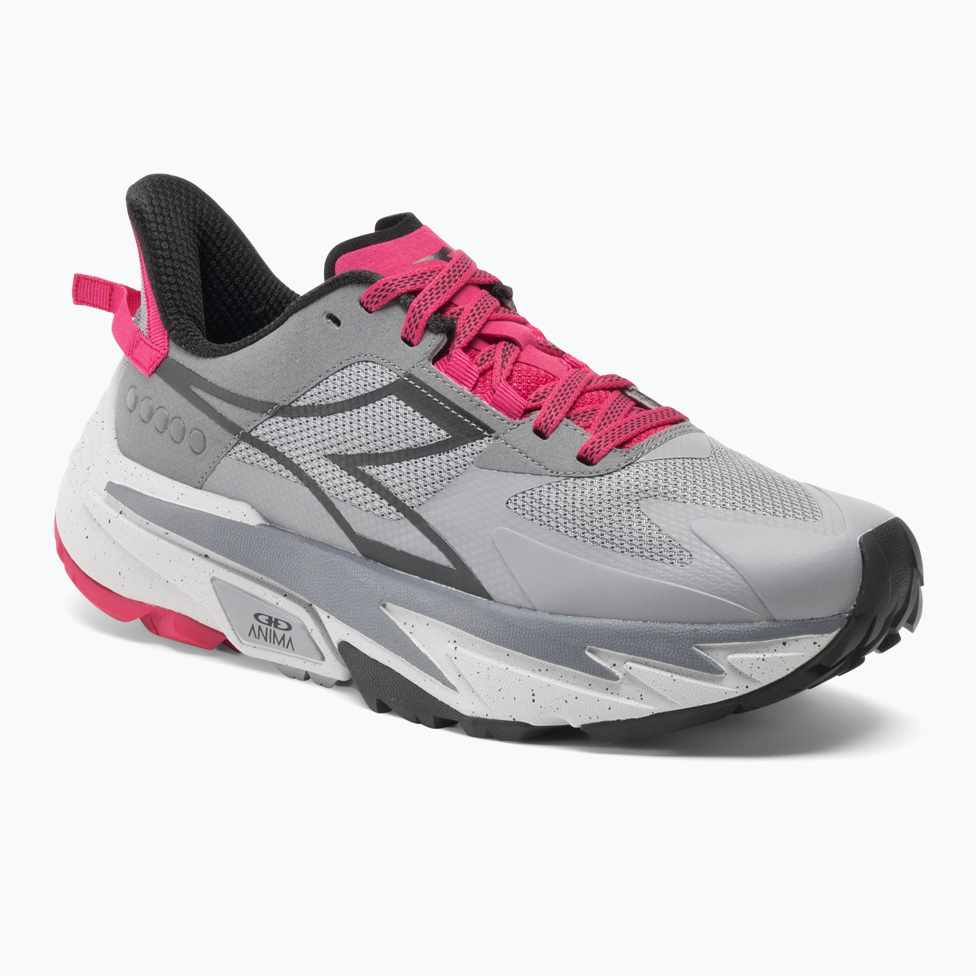 Buty do biegania damskie Diadora Equipe Sestriere-XT alloy/black/rubine red c 