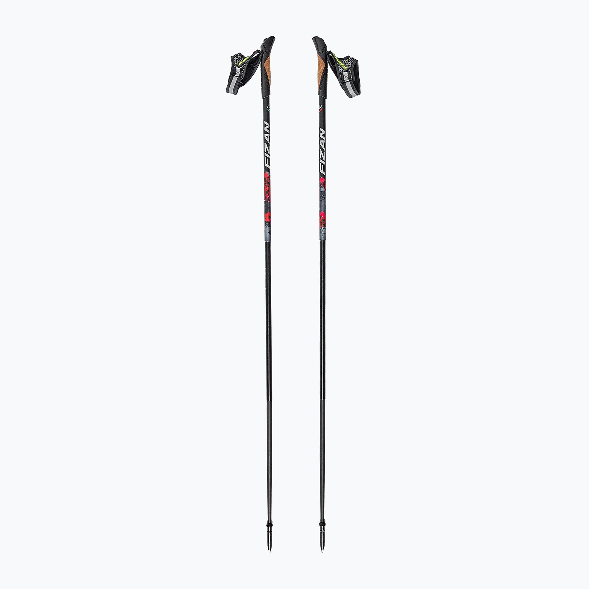 Kije nordic walking Fizan Lite grey/flower 