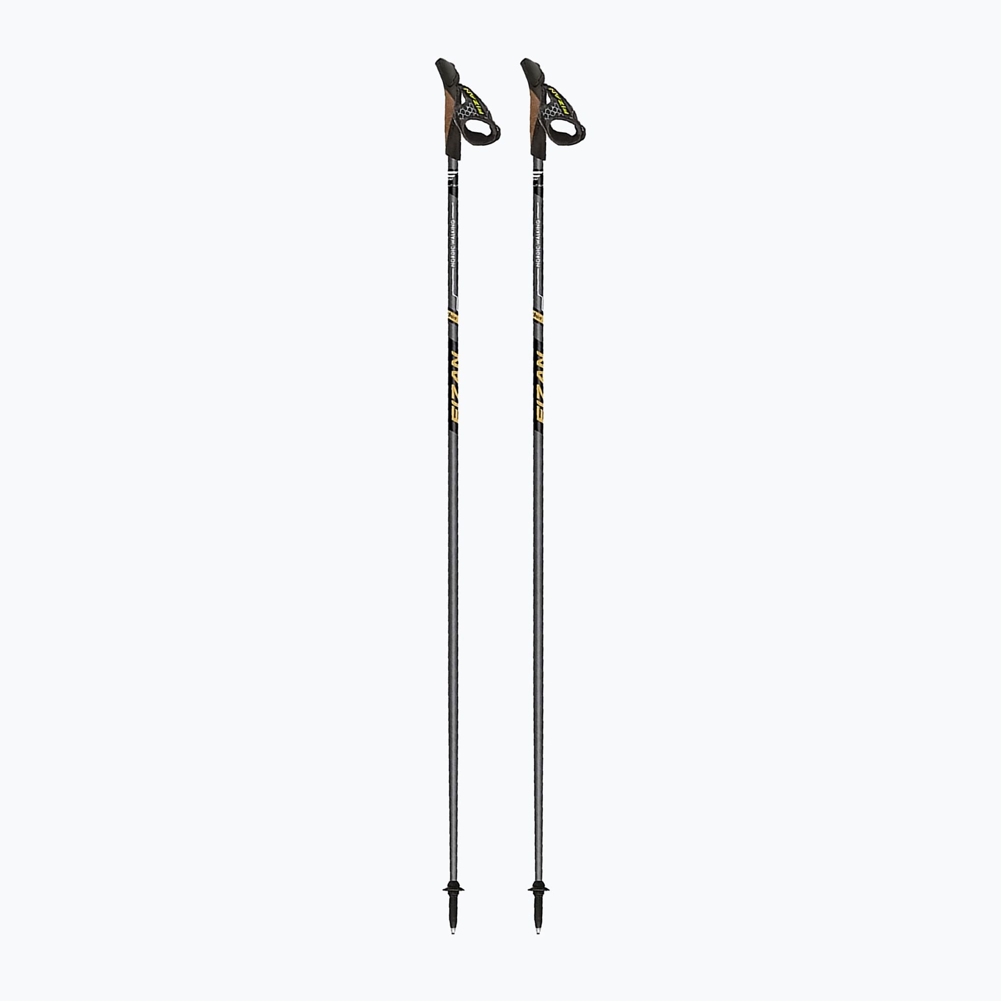 Kije nordic walking Fizan Runner gold 