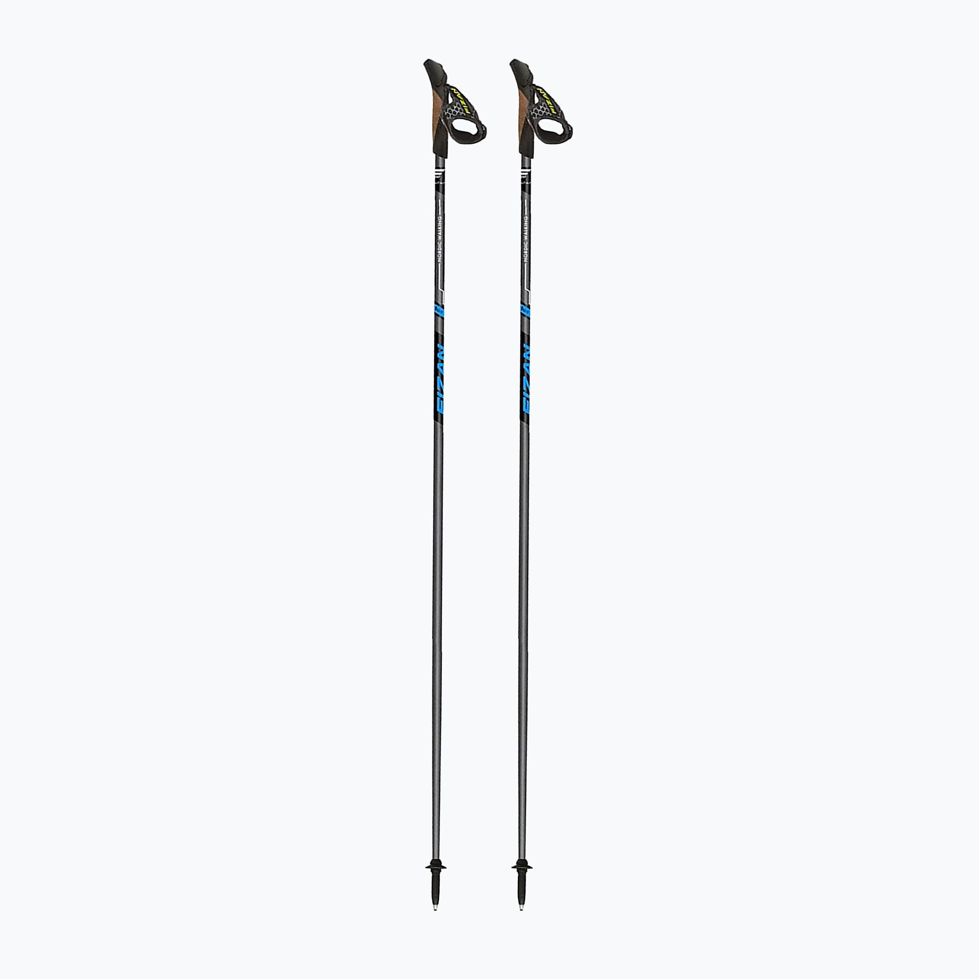 Kije nordic walking Fizan Runner blue 