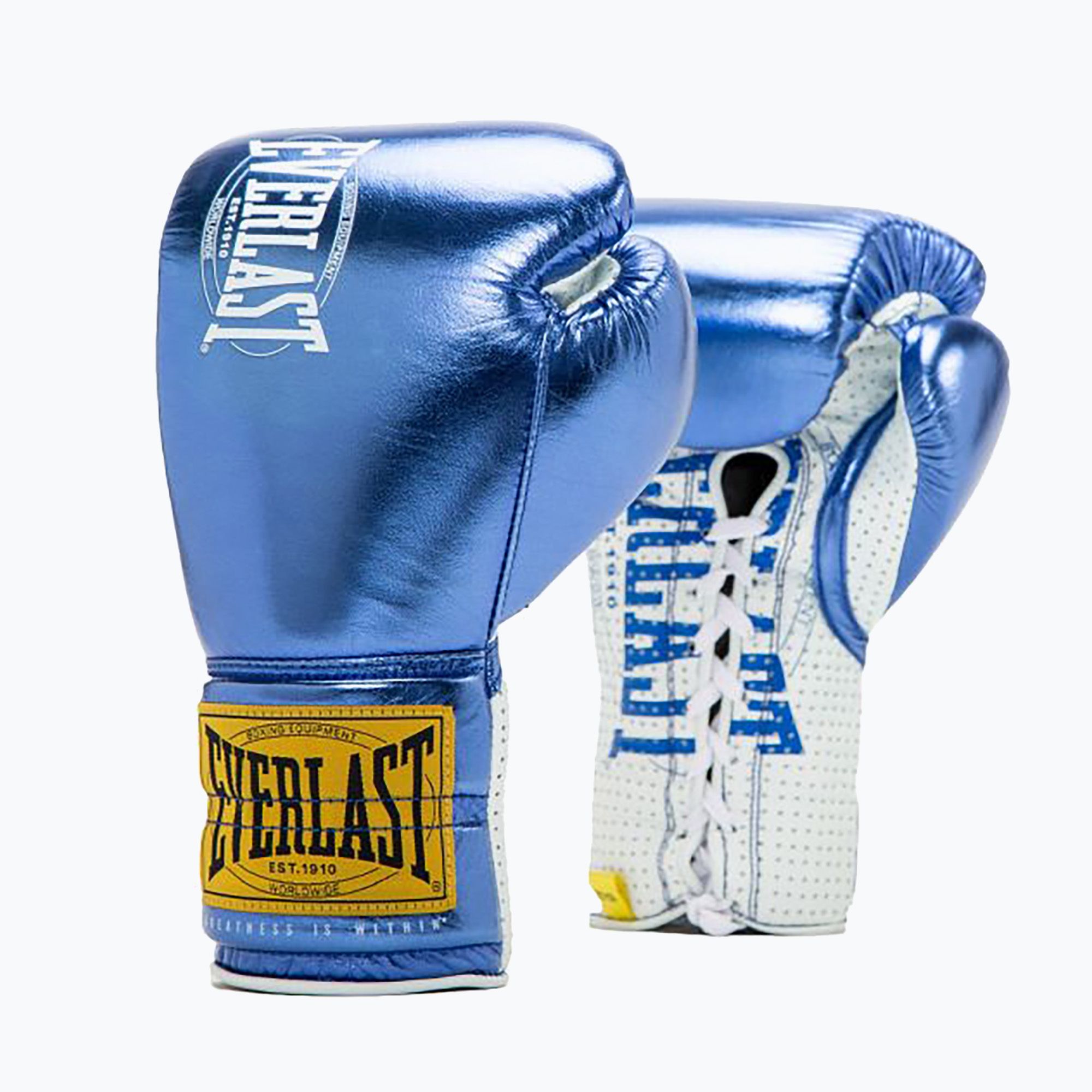 Rękawice bokserskie Everlast Fight Leather blue 