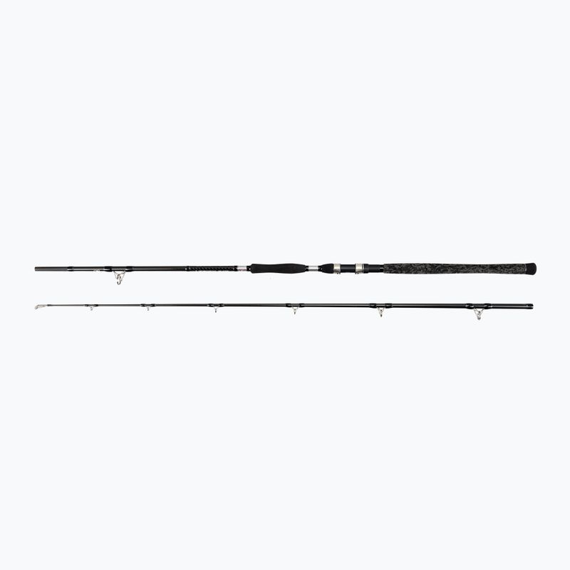 Wędka sumowa Penn Legion Cat Silver Power AR 2 Sec black/silver